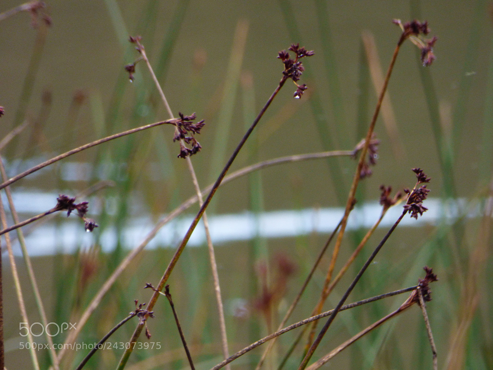 Panasonic Lumix DMC-FZ70 sample photo. Vida photography