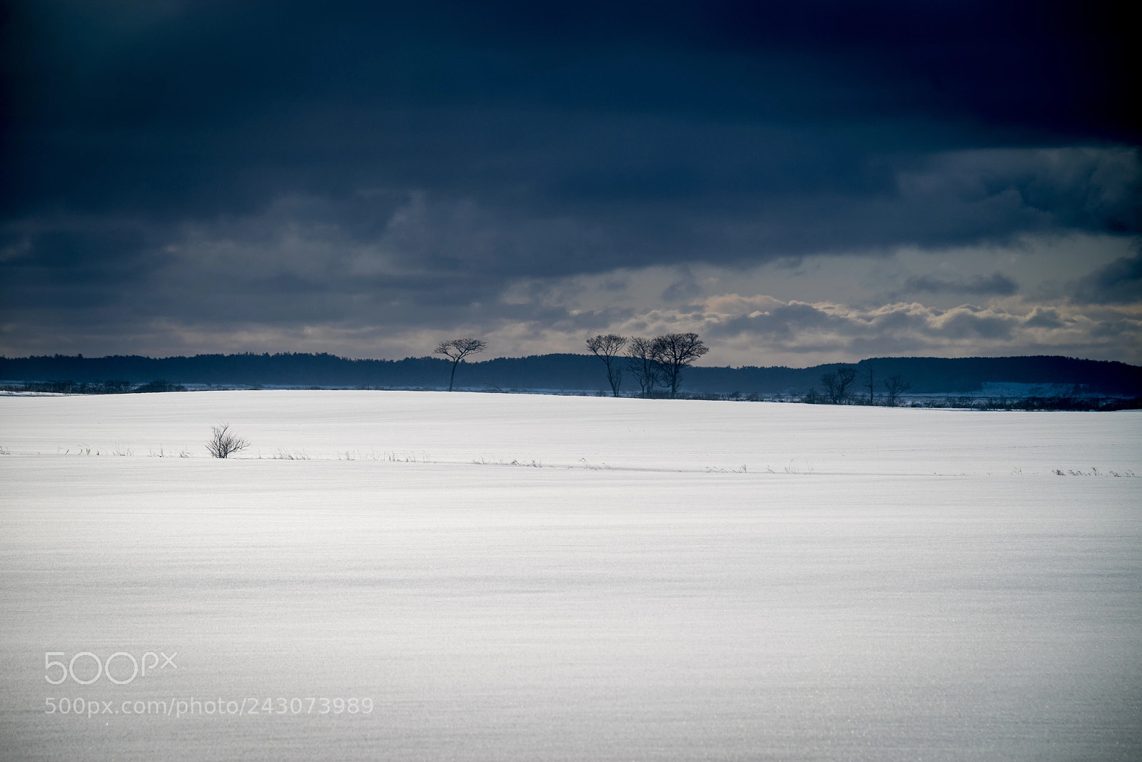 Pentax K-1 sample photo. White wilderness photography