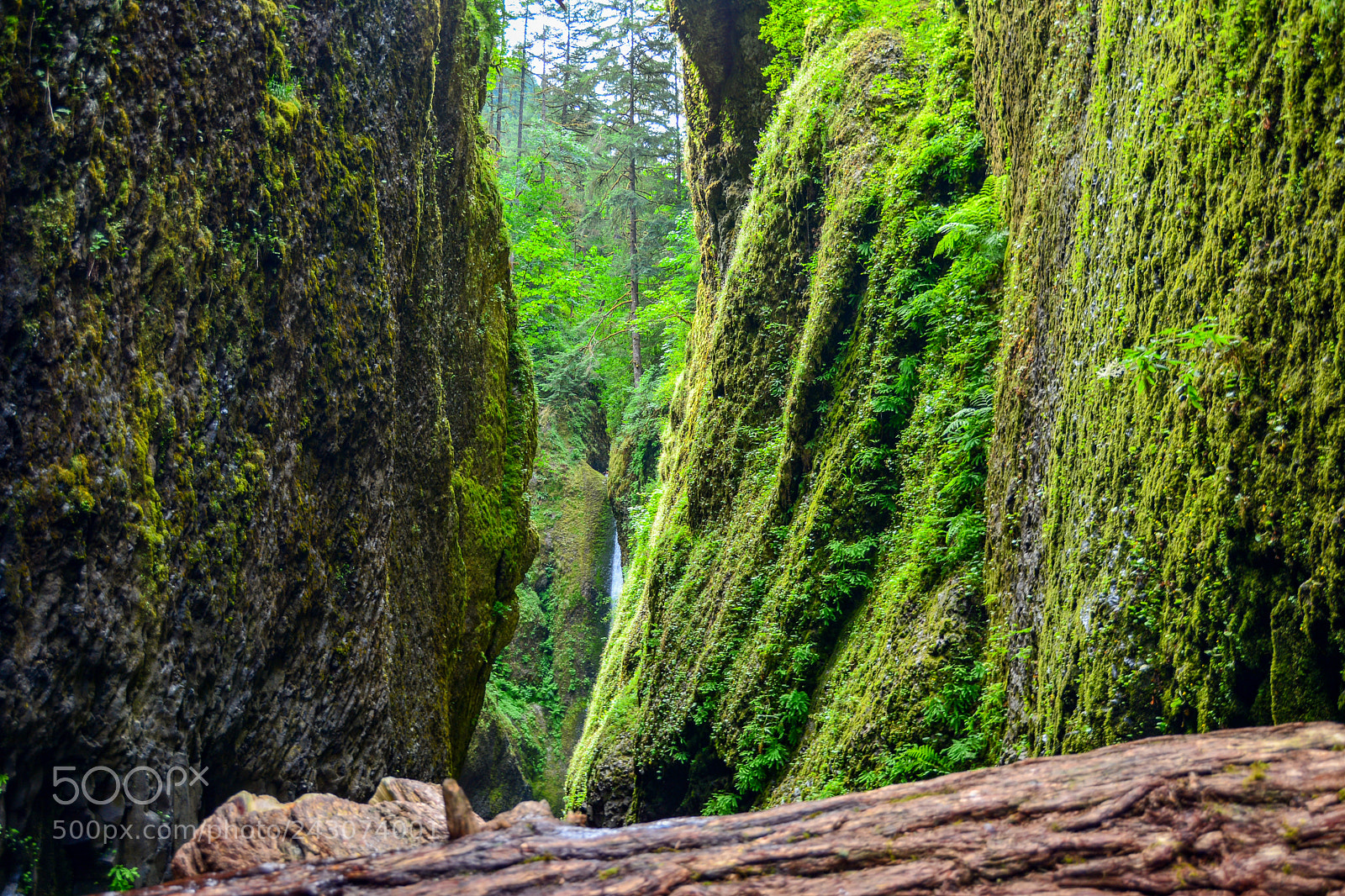 Nikon D7100 sample photo. Waterfall trail photography