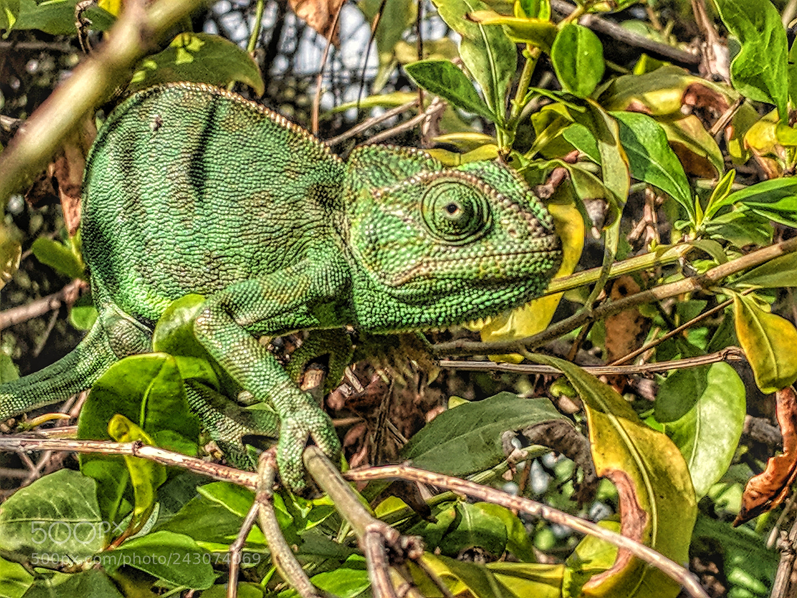 Google Pixel 2 XL sample photo. Img_20180114_130546-01.jpg photography