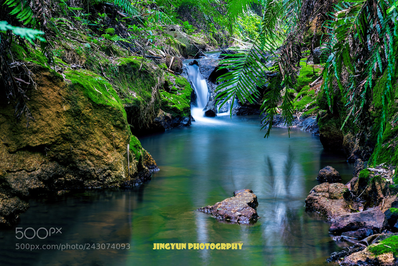Nikon D810 sample photo. Untitled photography