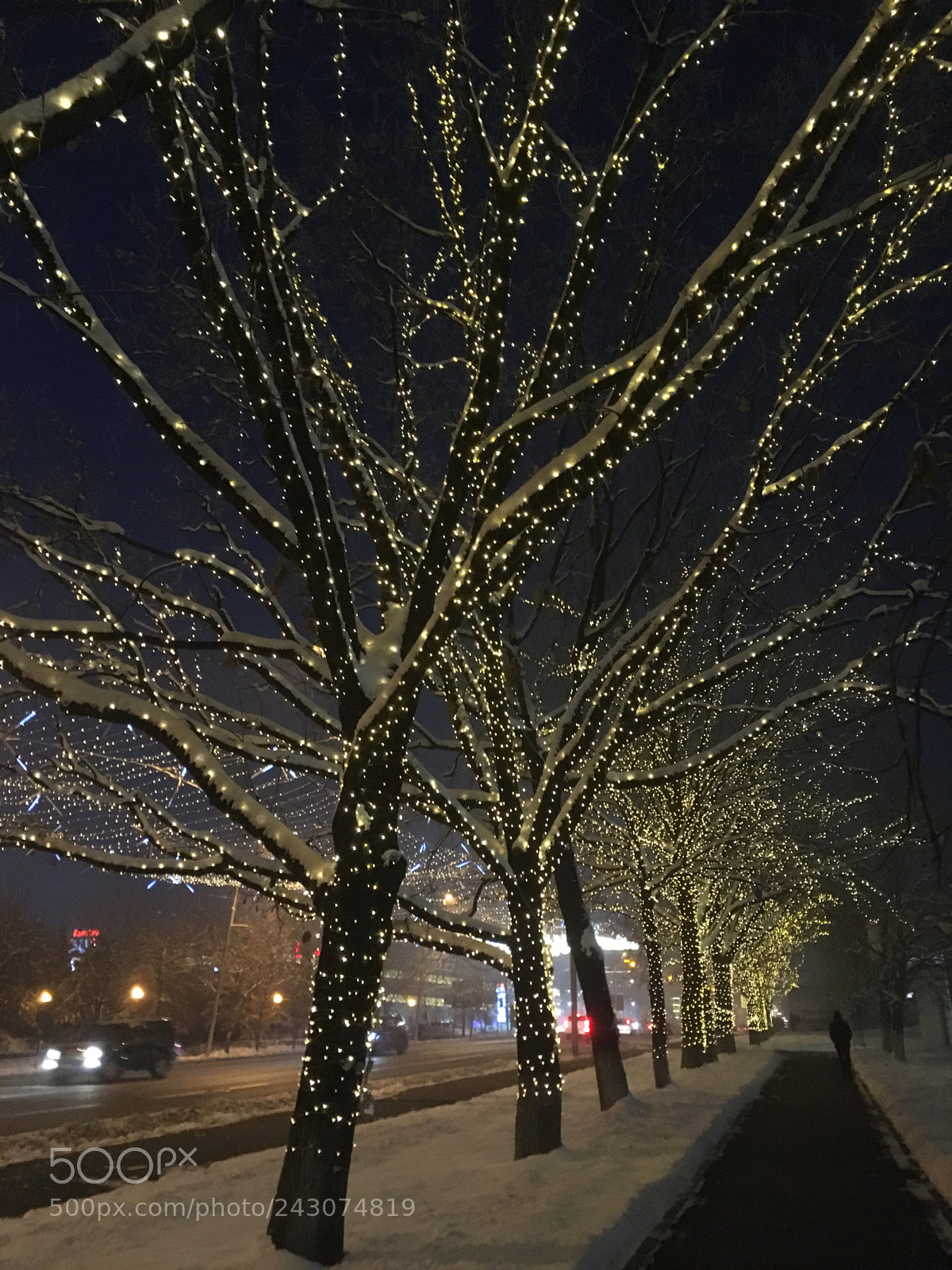 Apple iPhone SE sample photo. *** photography