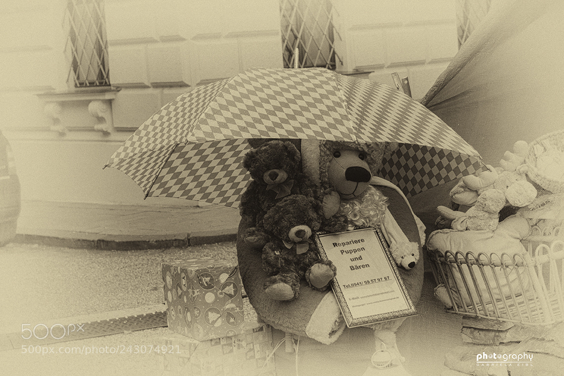 Canon EOS 500D (EOS Rebel T1i / EOS Kiss X3) sample photo. Old teddy bears photography
