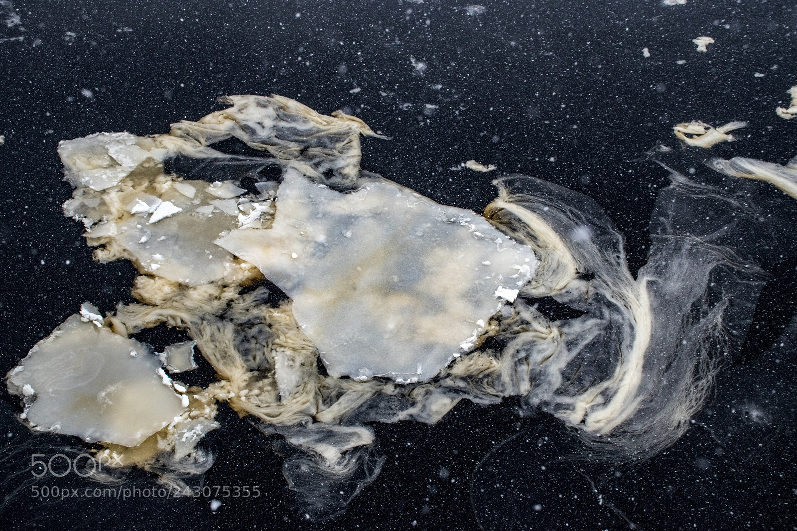 Nikon D5600 sample photo. Ice photography