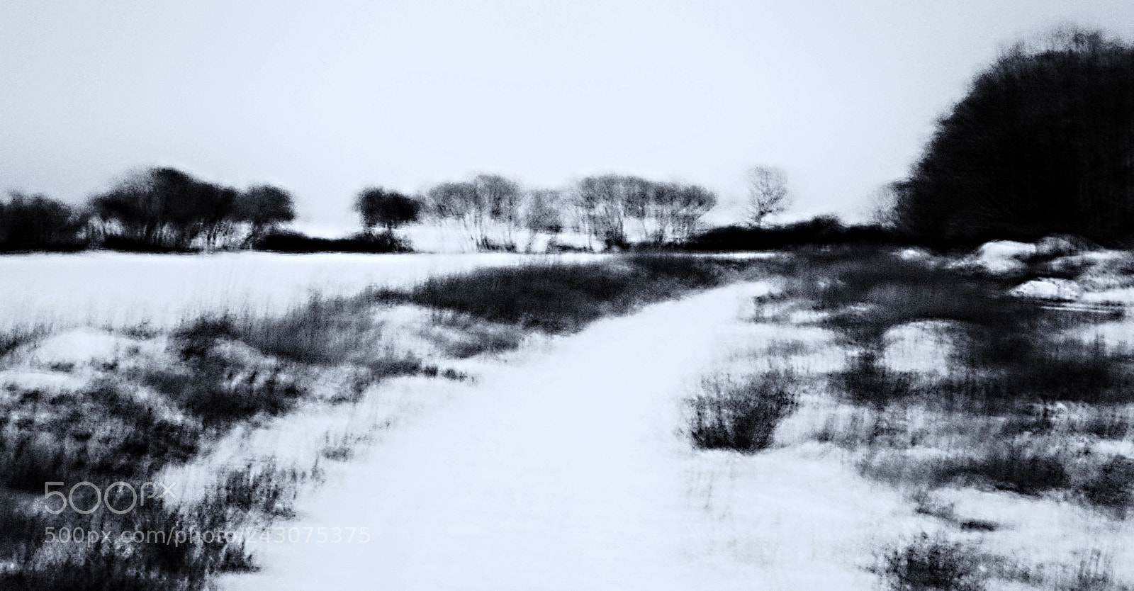 Olympus TG-4 sample photo. Winter landscape photography