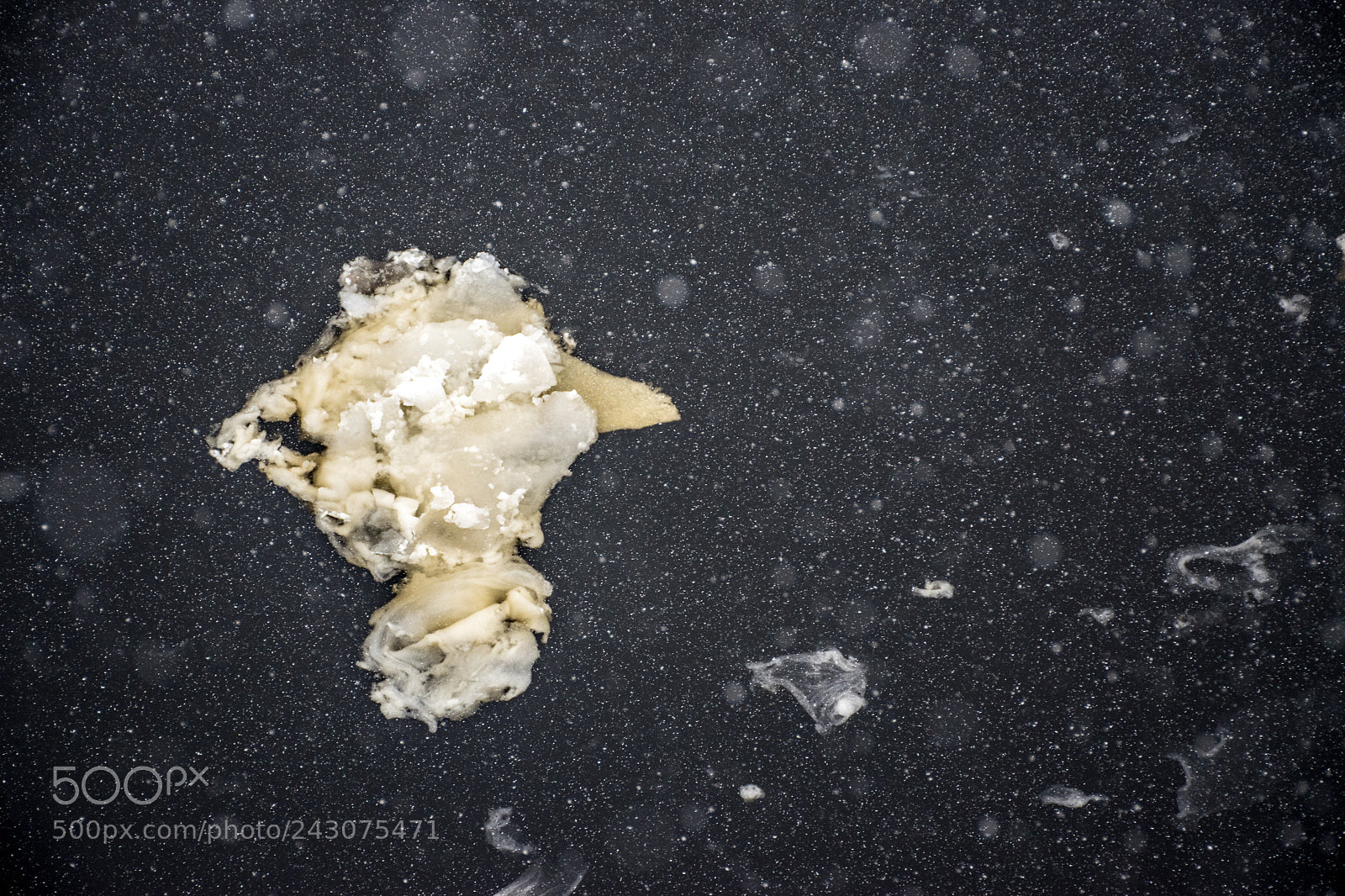 Nikon D5600 sample photo. Ice 2 photography