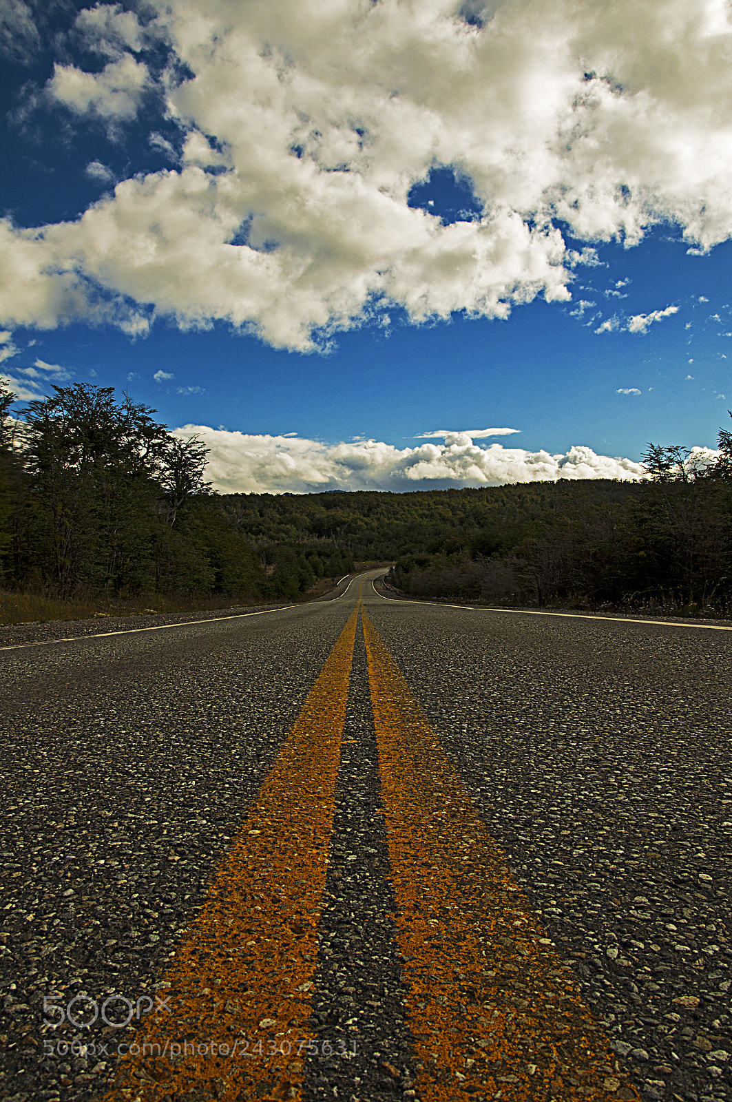 Nikon D90 sample photo. On the road photography