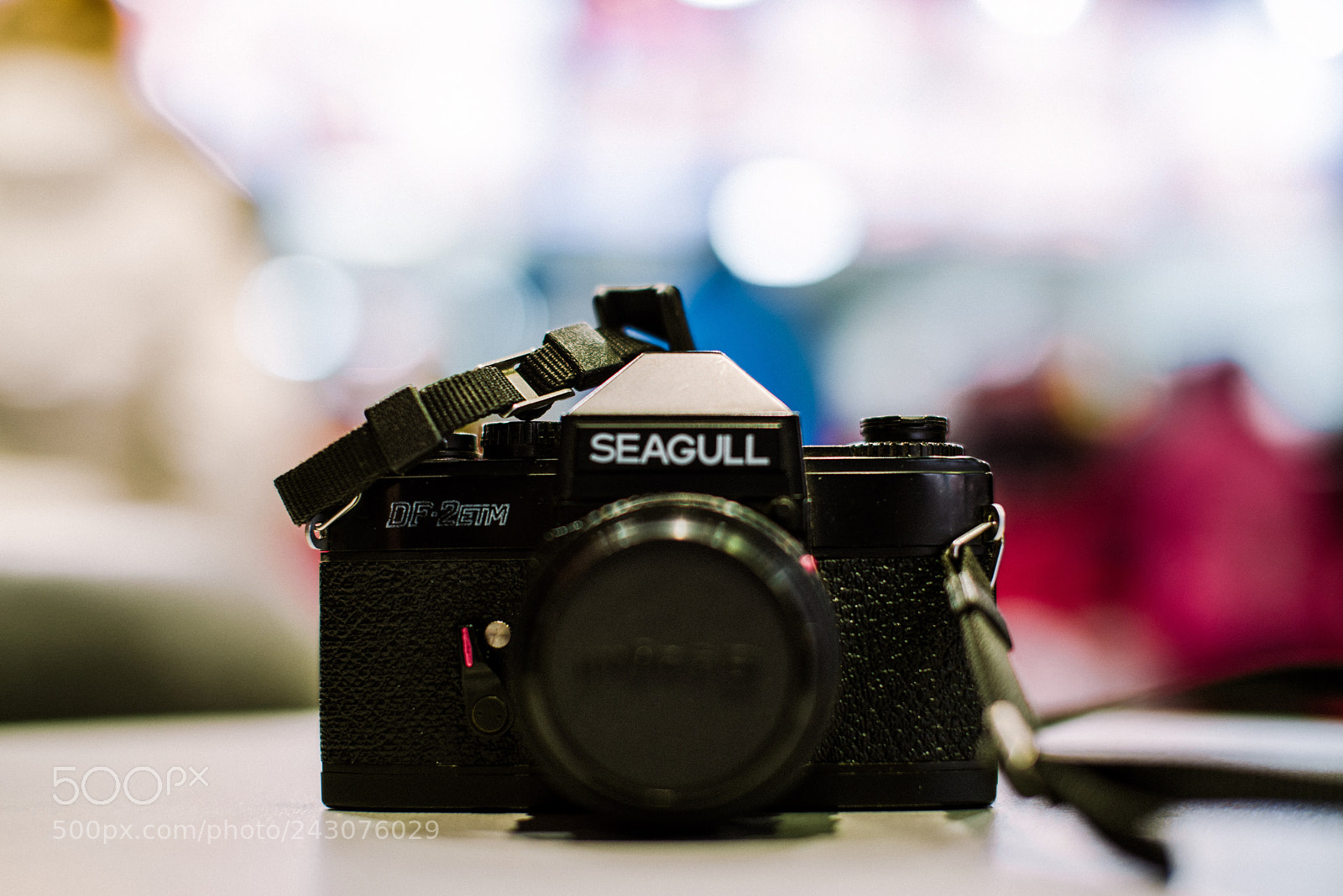 Pentax K-1 sample photo. Untitled photography