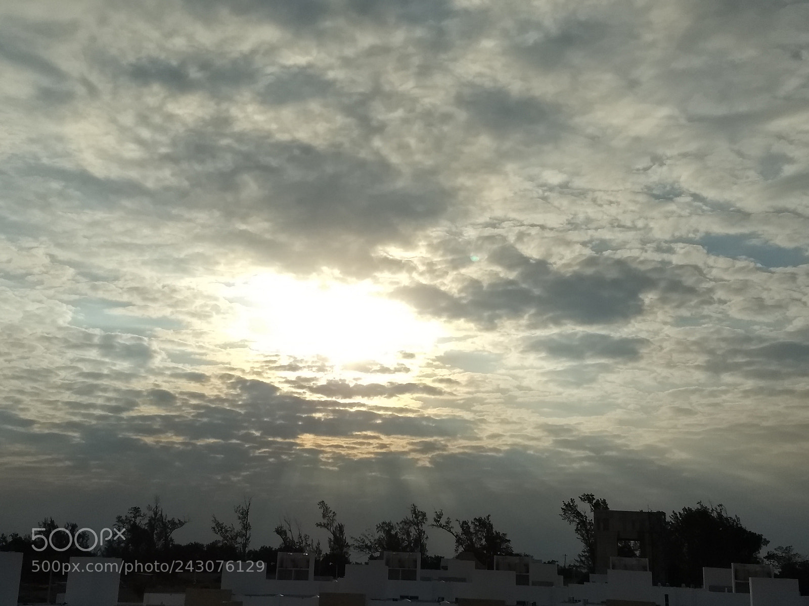 Motorola Moto G (5) Plus sample photo. Frio ... photography