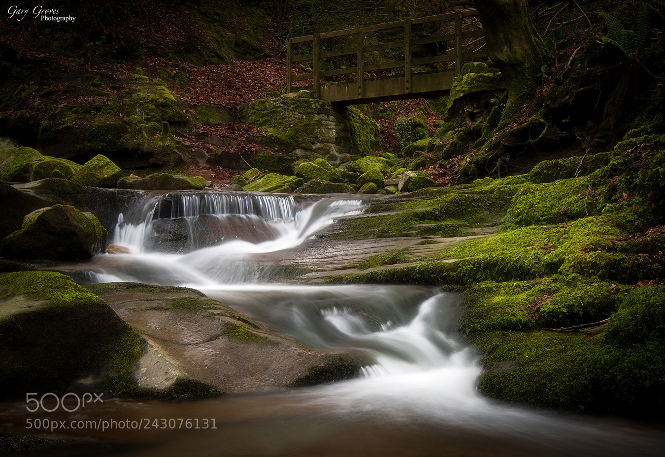 Nikon D810 sample photo. Stream under the bridge photography
