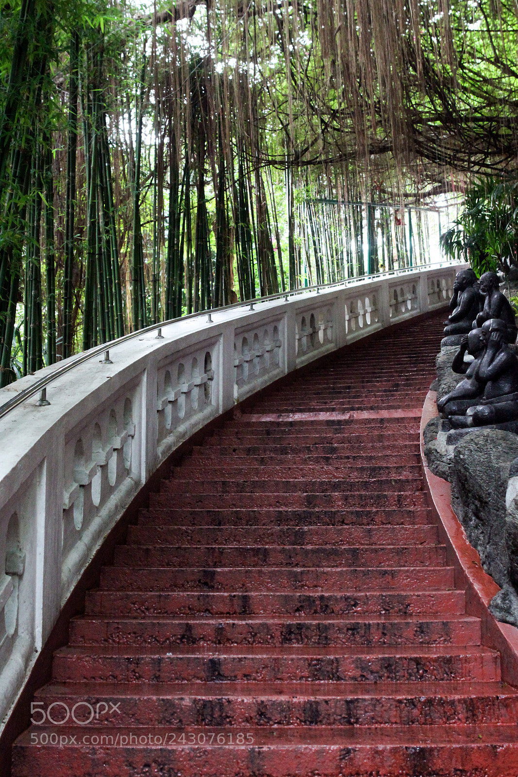 Canon EOS 50D sample photo. Steps up the golden photography