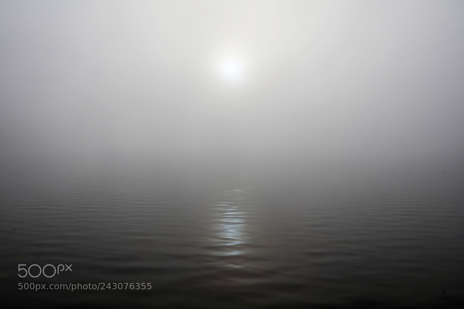 Canon EOS 5DS R sample photo. Sun water fog photography