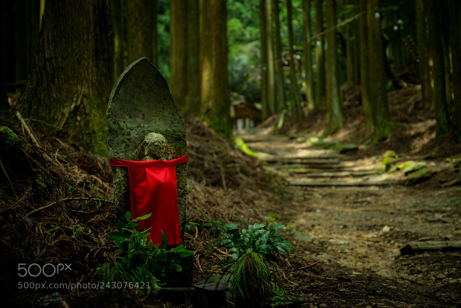 Pentax K-1 sample photo. Ancient road photography