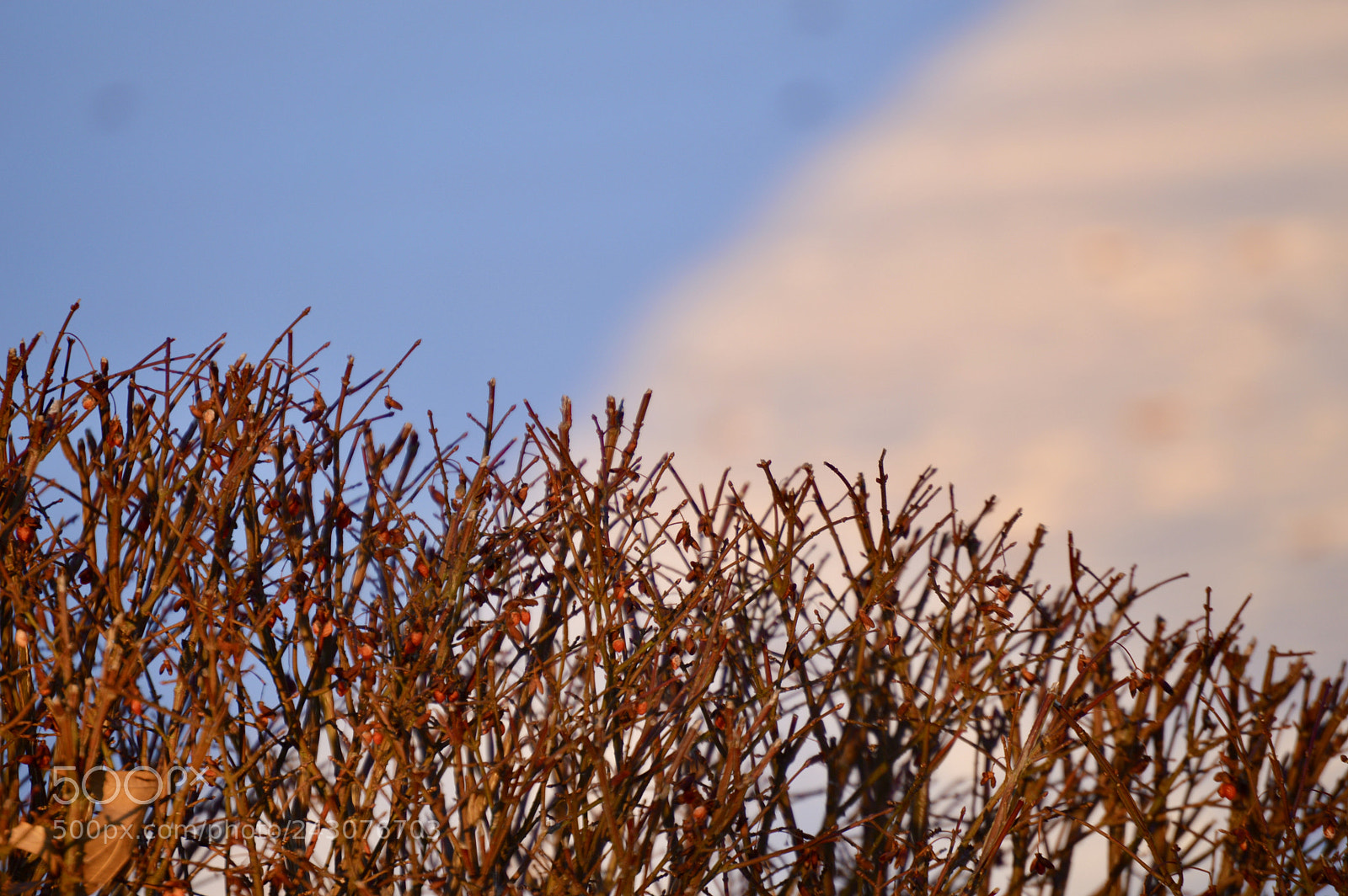 Nikon D3200 sample photo. Warm sunset photography