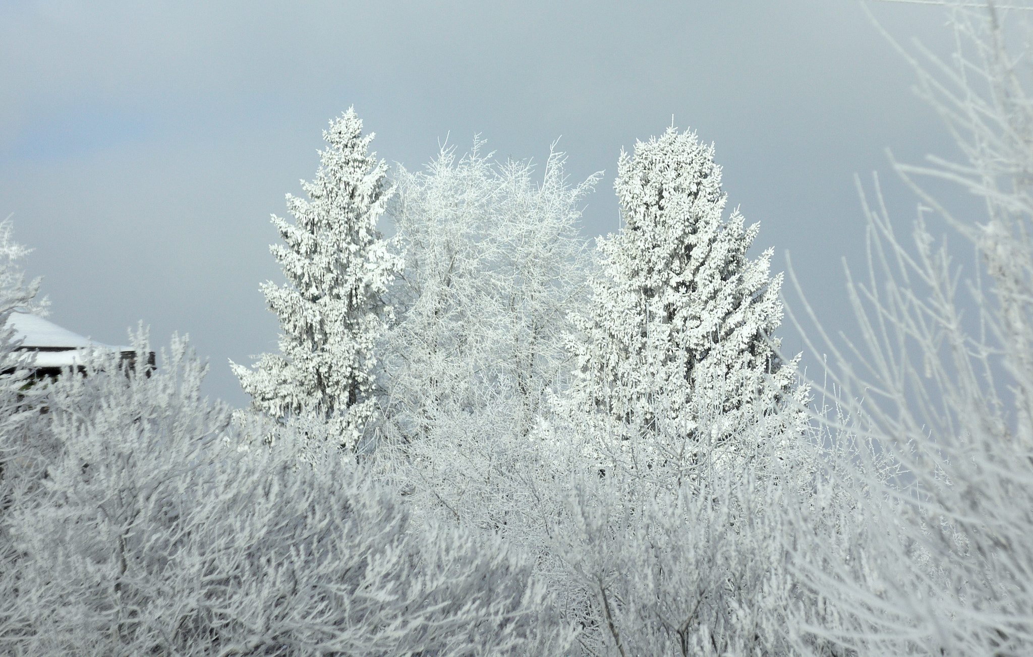 Canon EF 35-80mm f/4-5.6 sample photo. Russian winter photography