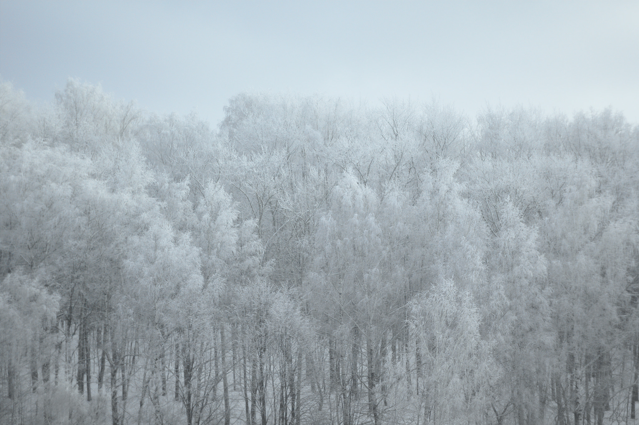 Canon EF 35-80mm f/4-5.6 sample photo. Russian winter photography