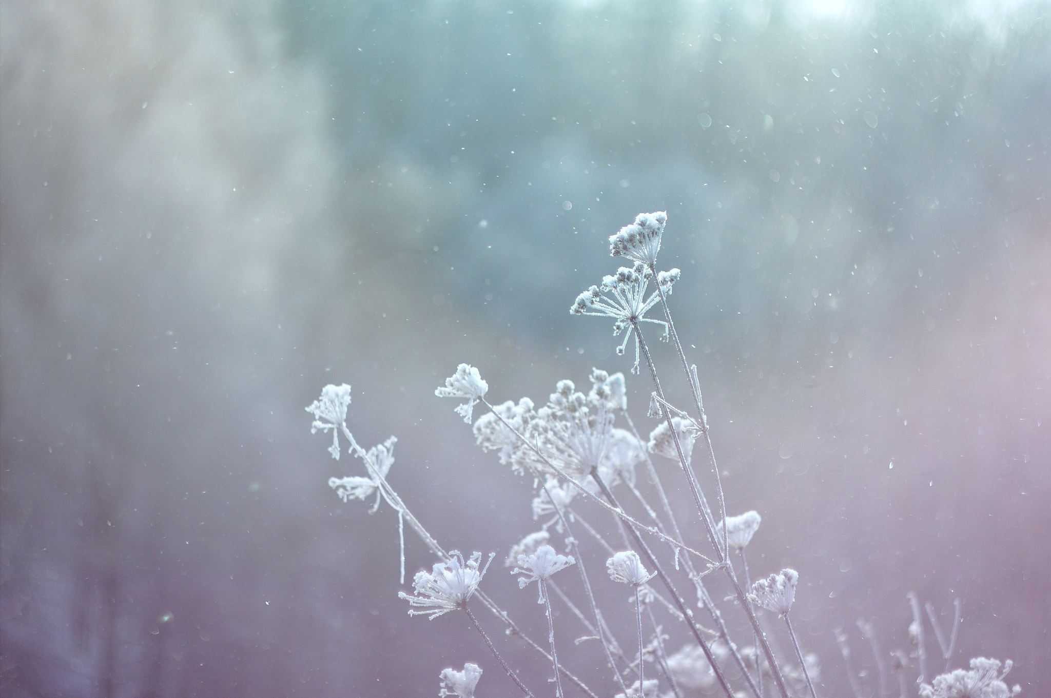 Canon EF 35-80mm f/4-5.6 sample photo. Russian winter photography
