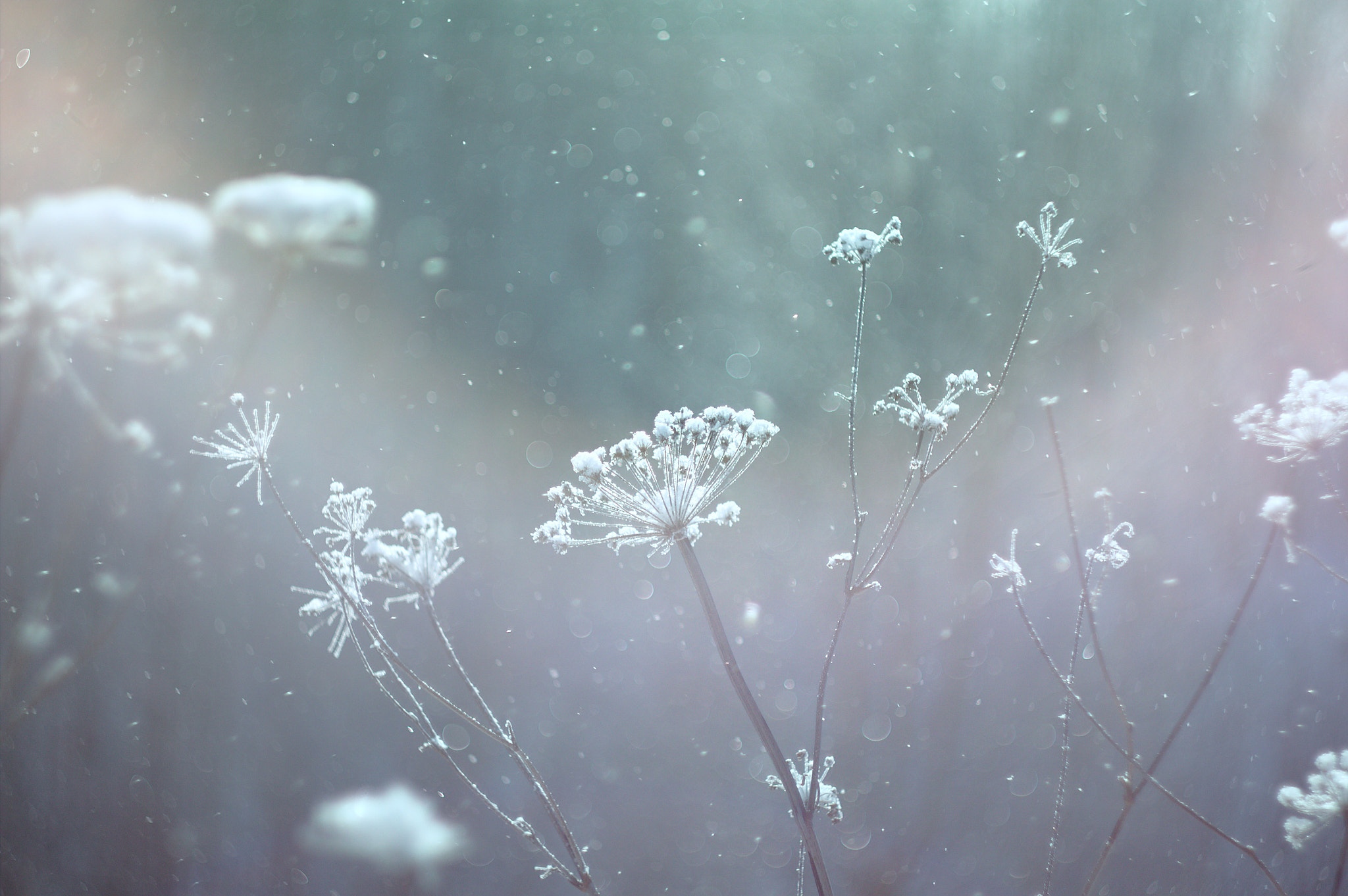 Canon EF 35-80mm f/4-5.6 sample photo. Russian winter photography