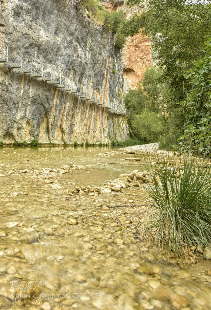 Nikon D7200 sample photo. Rio vero photography