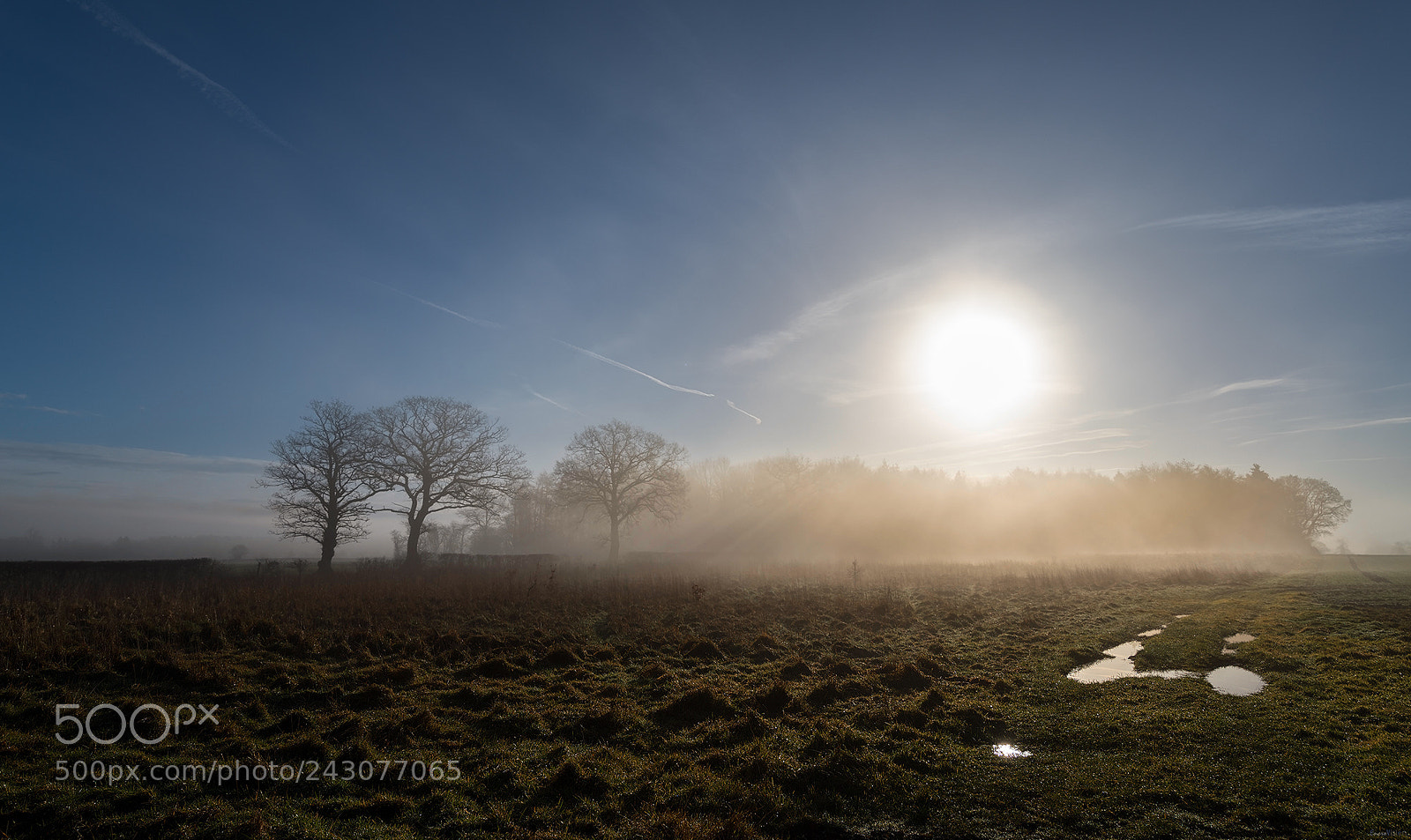 Nikon D850 sample photo. Alveley fog and sun. photography