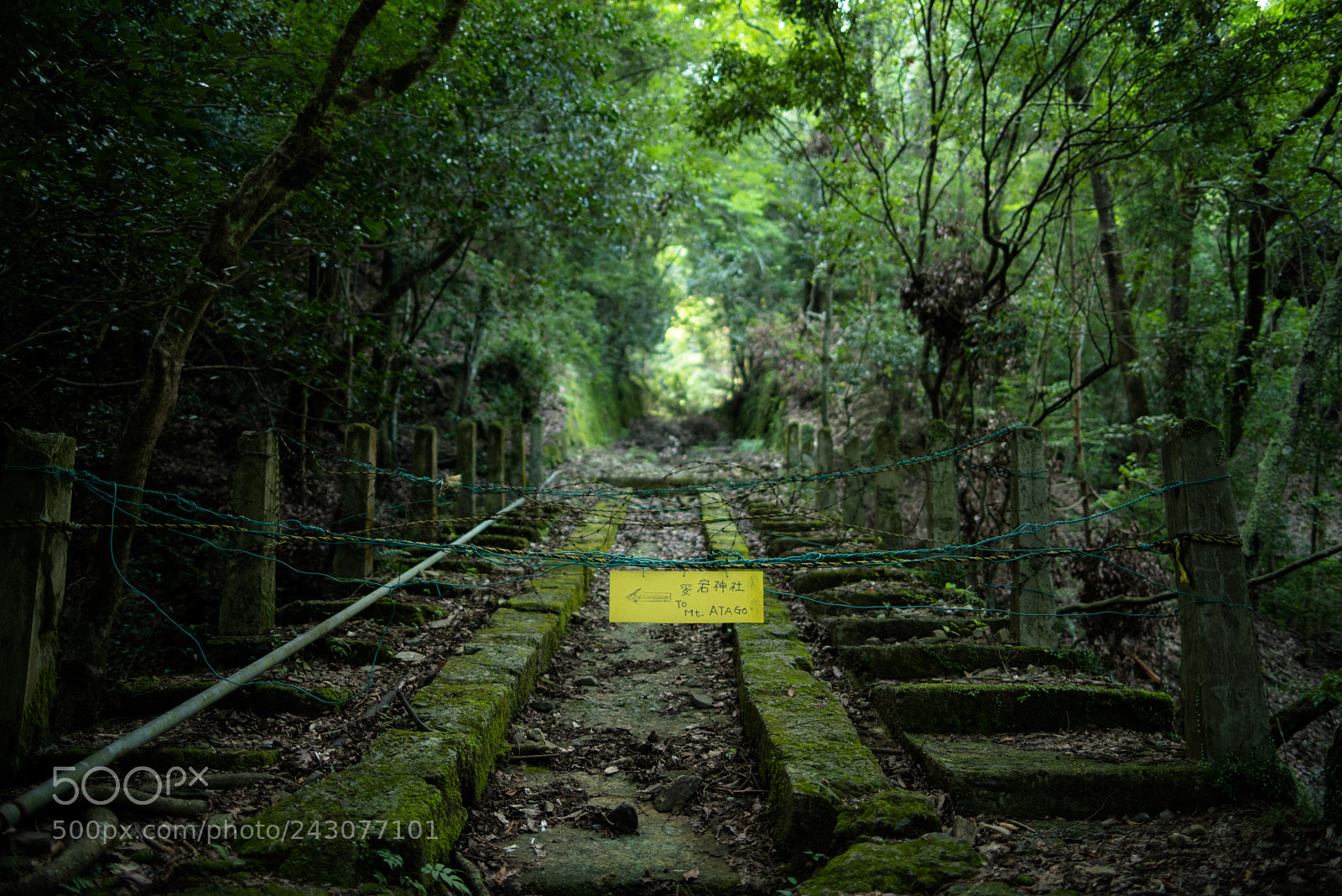 Pentax K-1 sample photo. The ruins of the photography