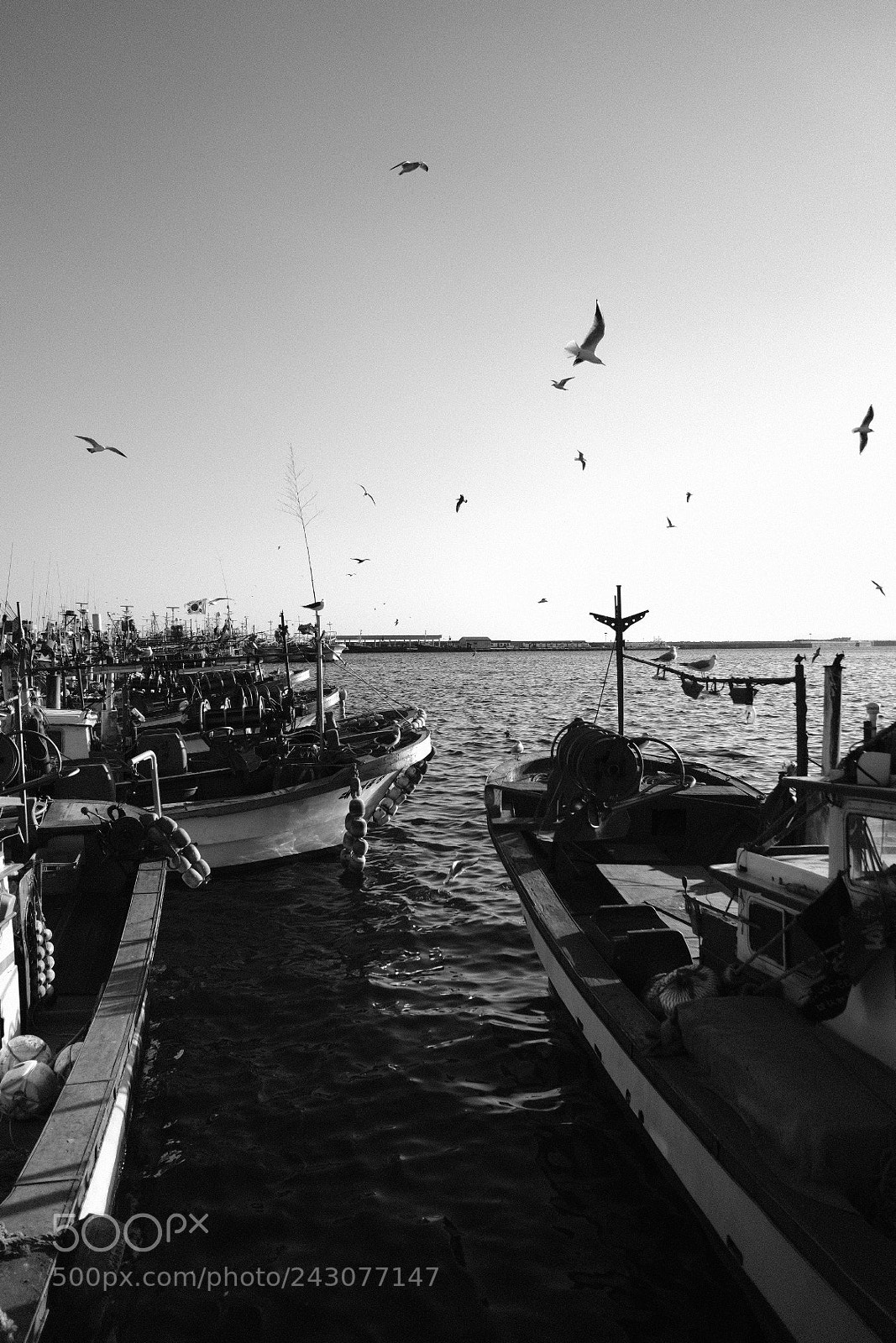 Fujifilm X-Pro2 sample photo. Untitled photography