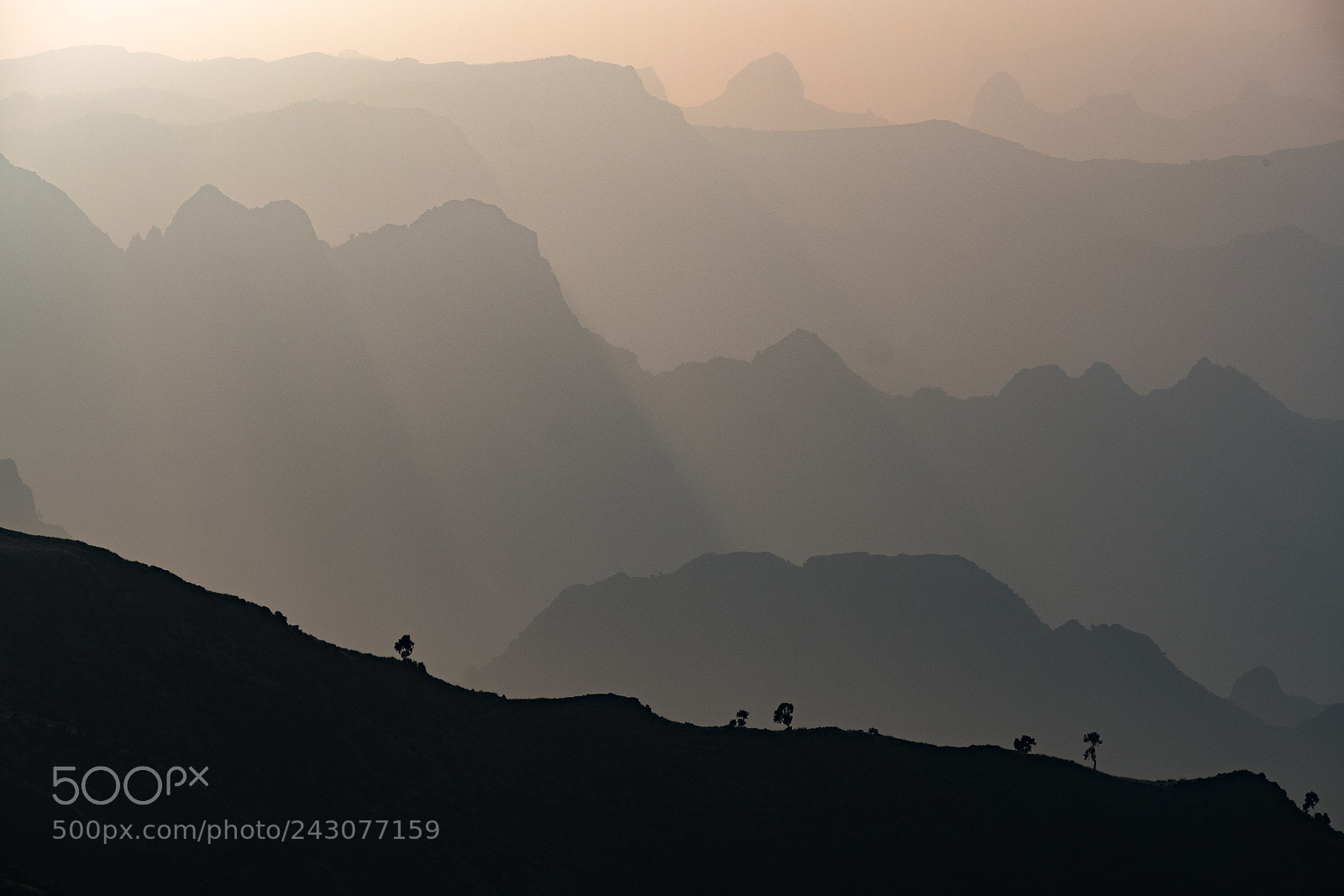 Fujifilm X-T2 sample photo. Simien mountains photography