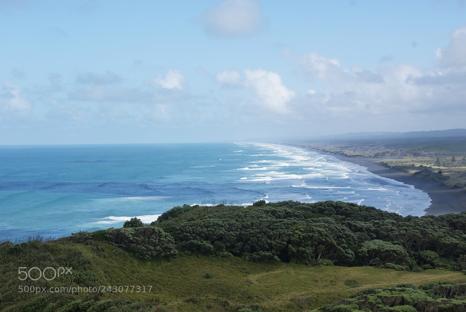 Sony Alpha DSLR-A200 sample photo. West coast of auckland photography