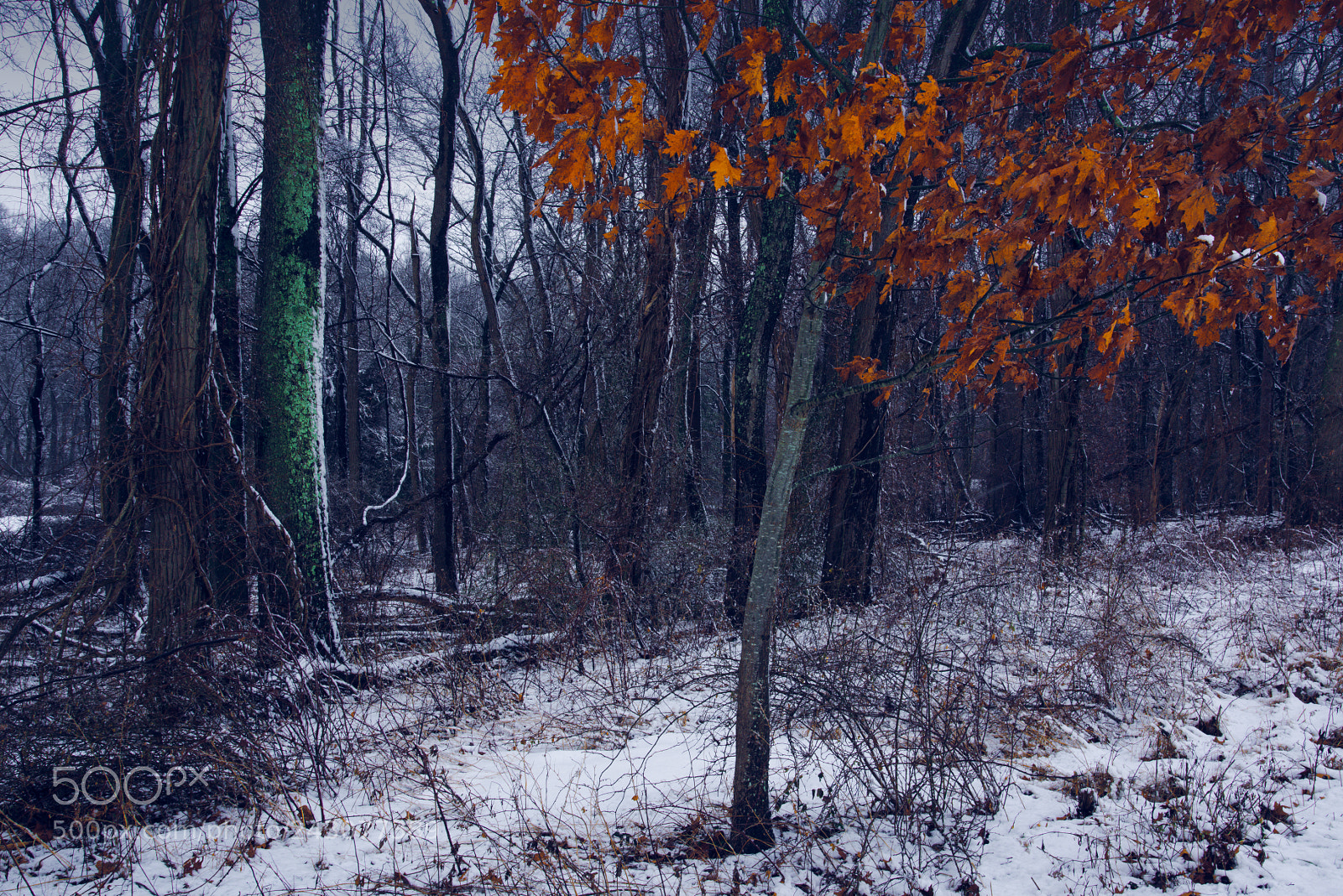 Nikon D810 sample photo. Edge photography