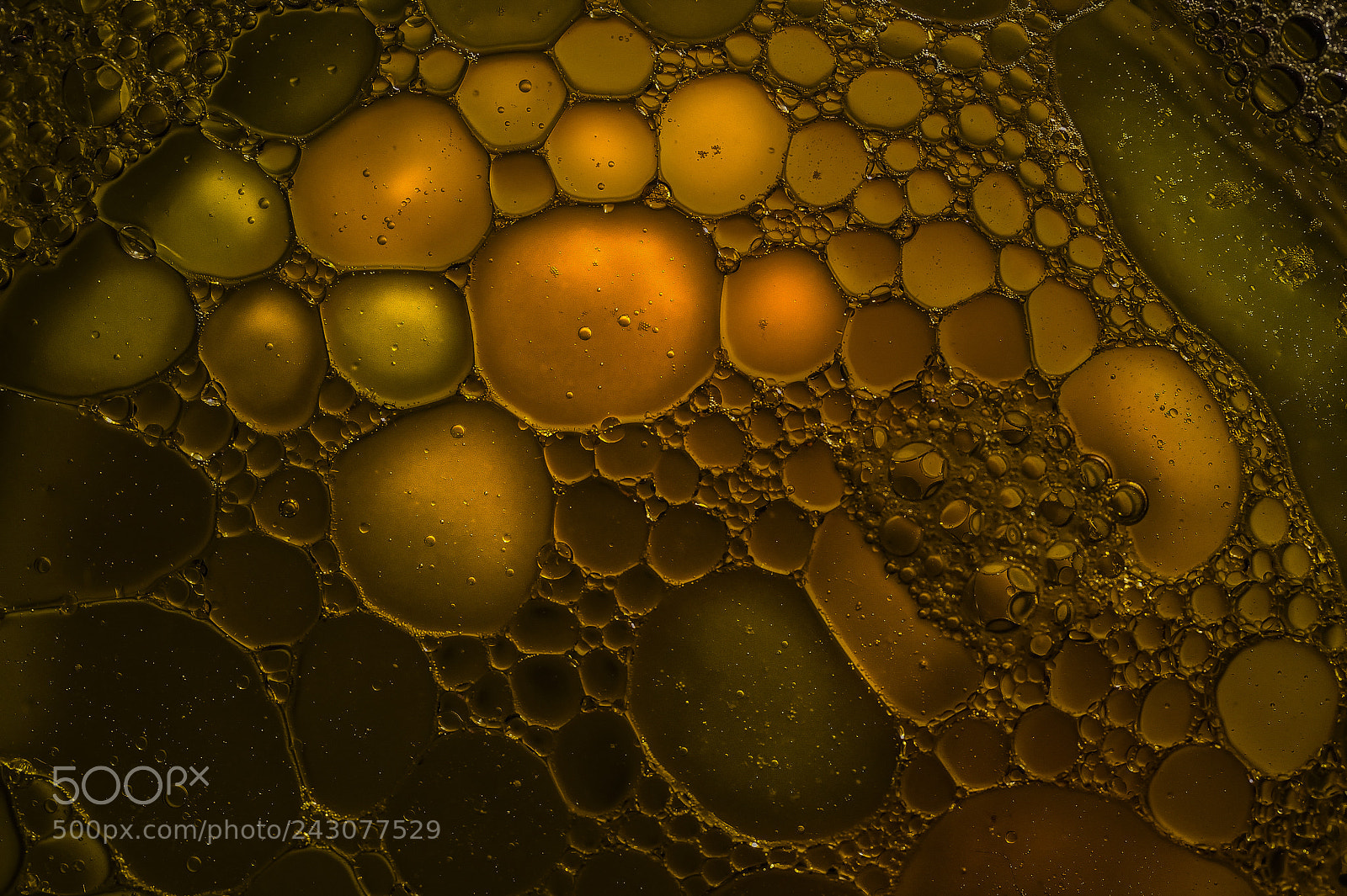 Nikon D3 sample photo. Water mixed with oil photography