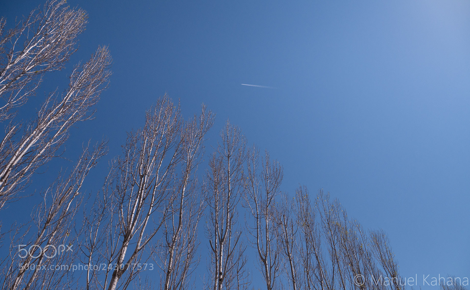 Panasonic Lumix DMC-GX7 sample photo. Diagonal photography