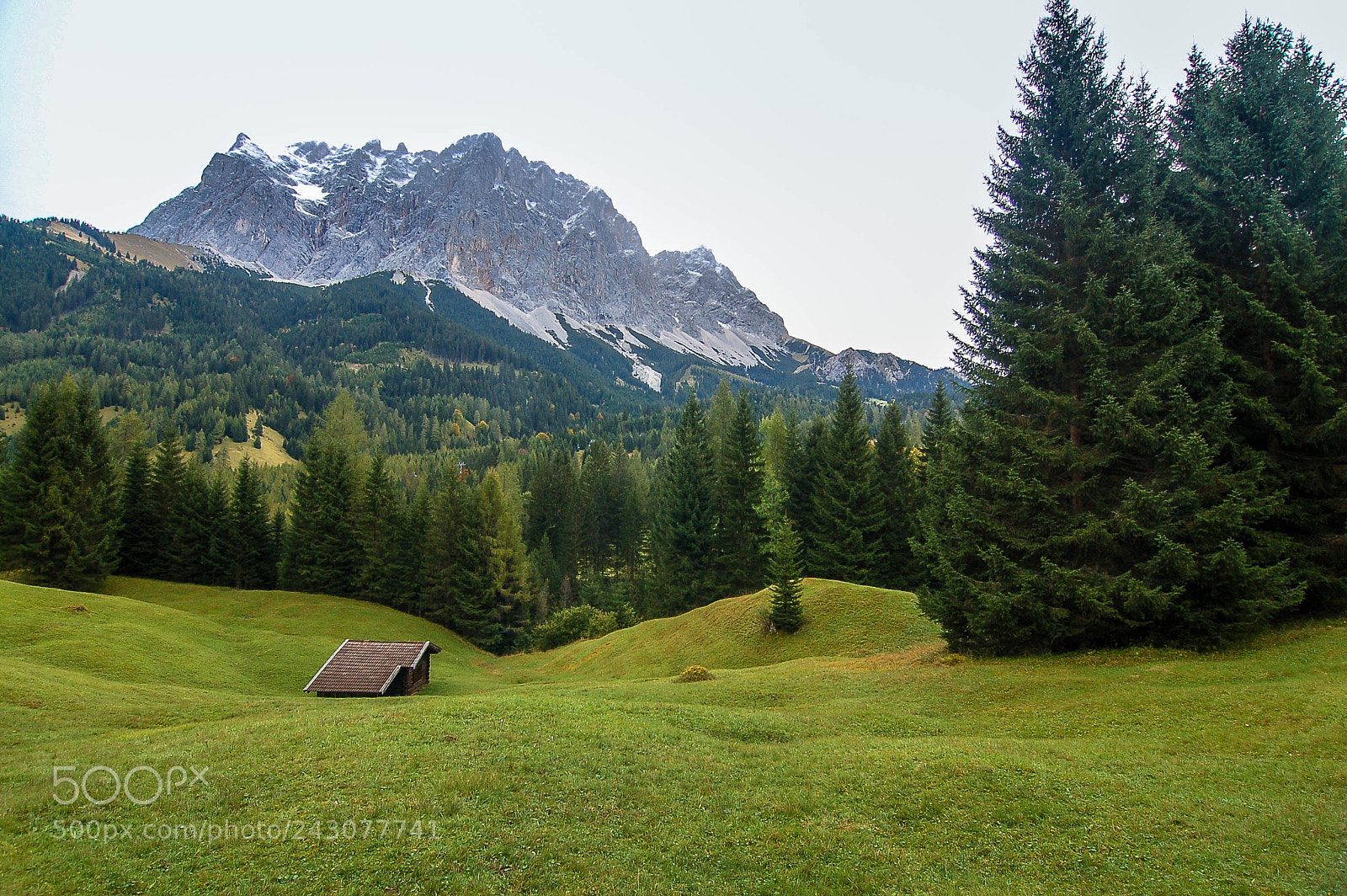 Nikon D50 sample photo. Tirol in october photography