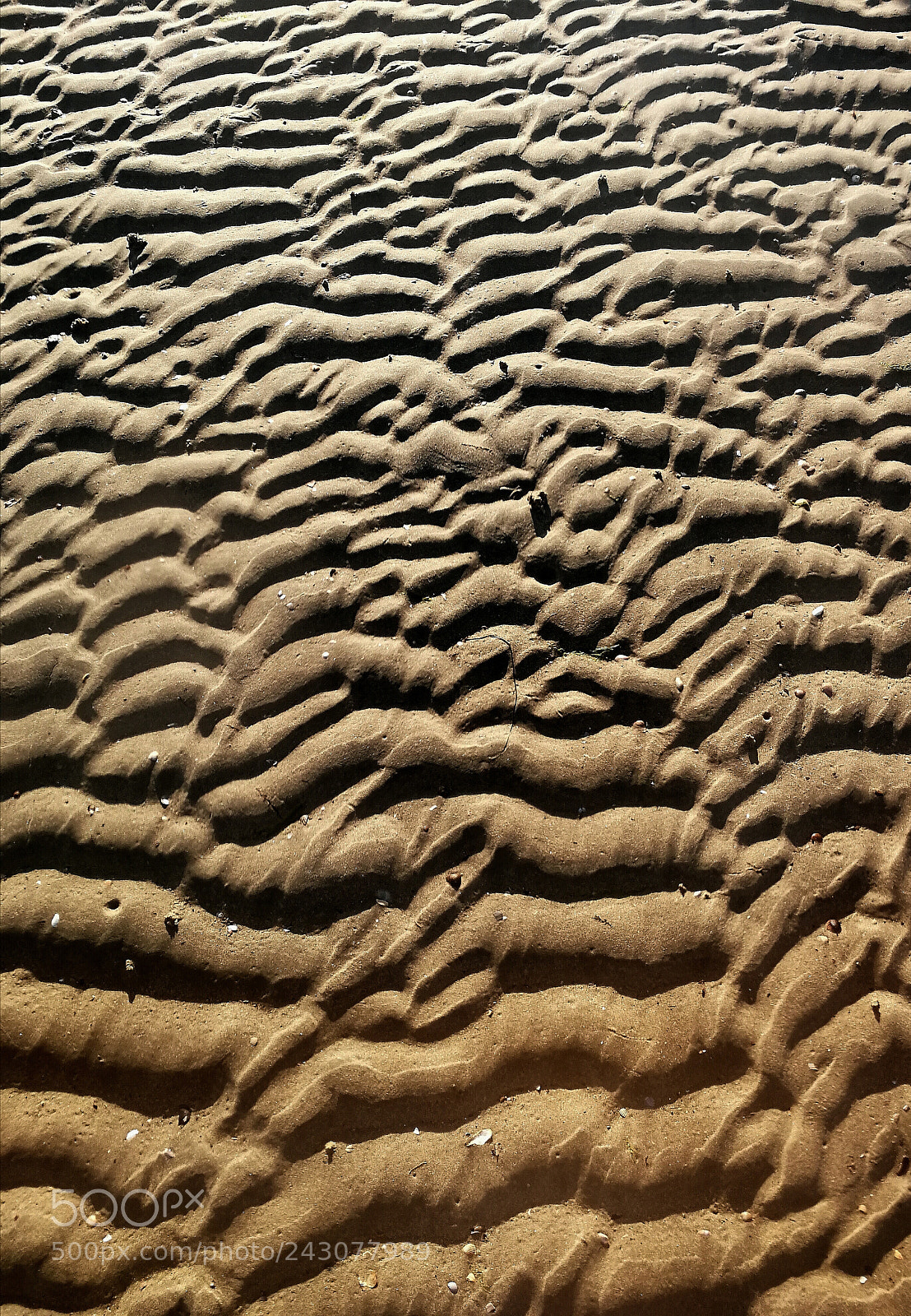 HUAWEI P10 sample photo. The age of sand photography