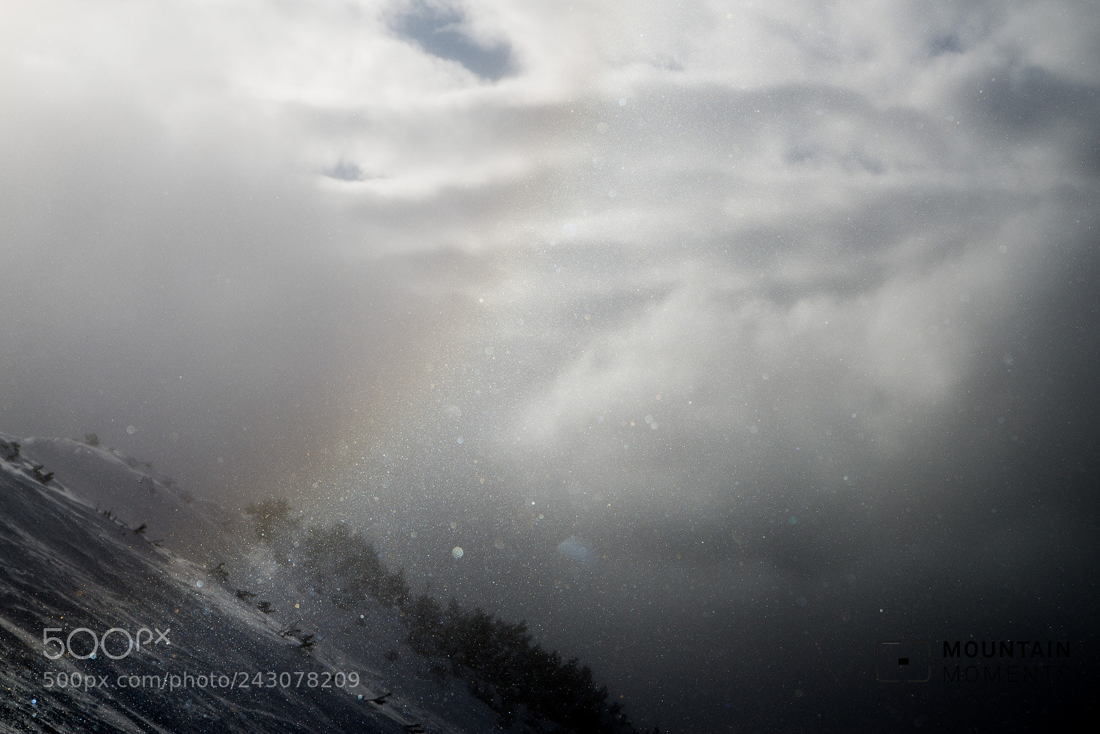 Nikon D610 sample photo. Magic snowflakes photography