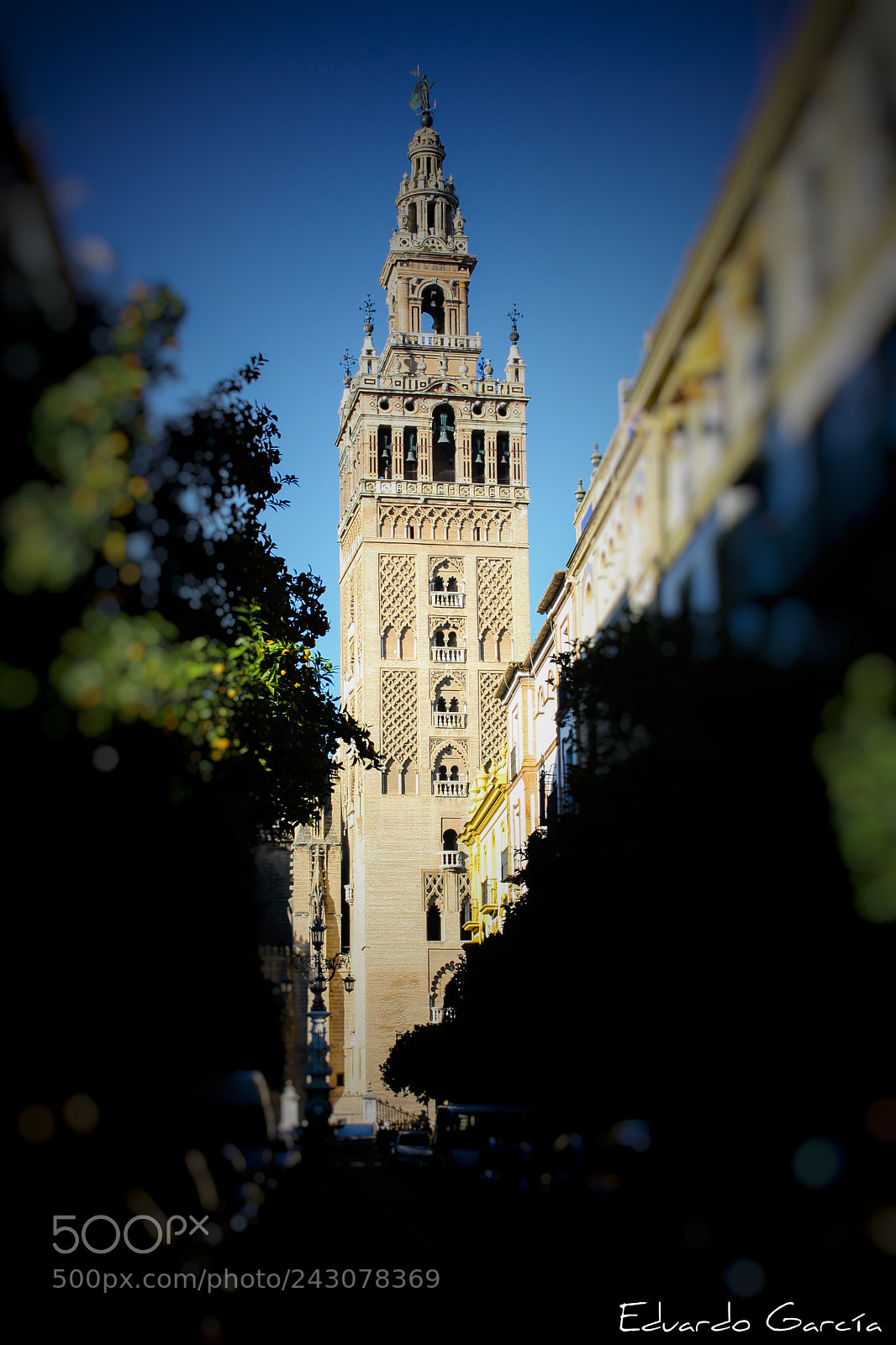 Canon EOS 1000D (EOS Digital Rebel XS / EOS Kiss F) sample photo. Giralda 1 photography