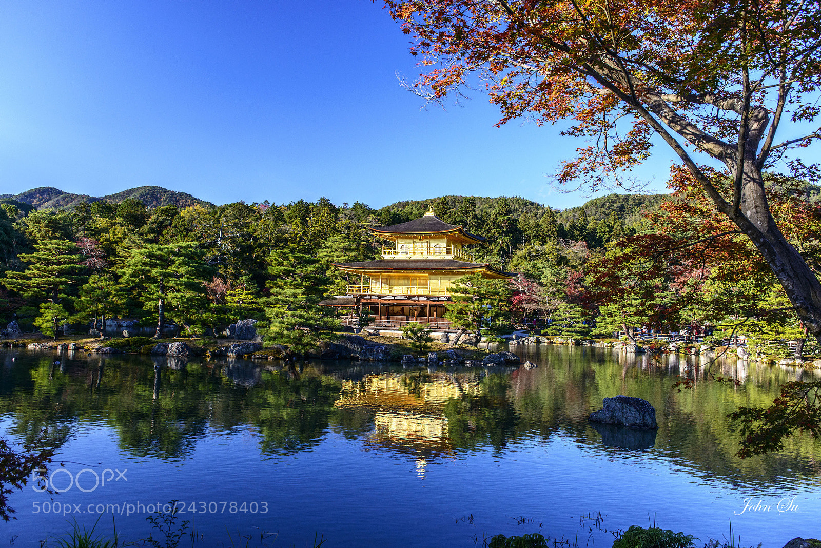 Nikon D800 sample photo. The reflection of golden photography