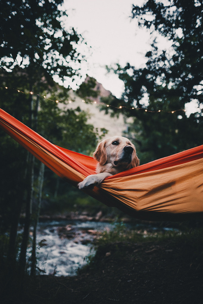 hang time by Sam Brockway on 500px.com