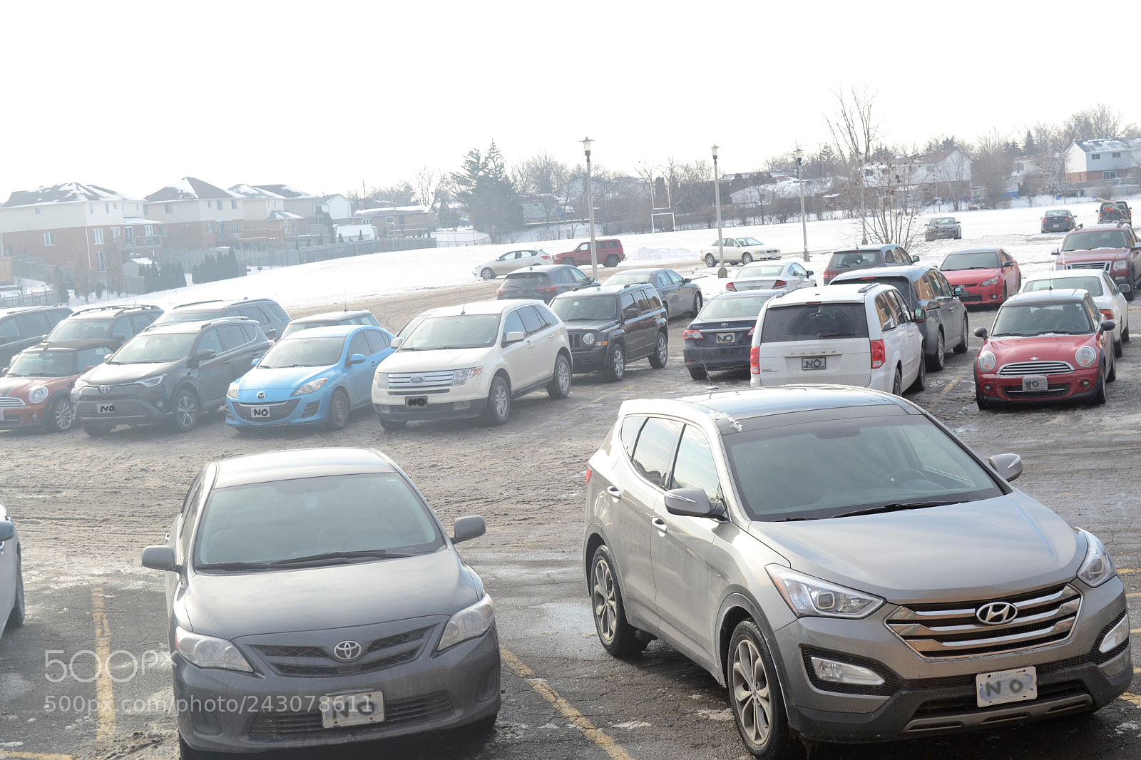 Nikon D3100 sample photo. Colors are in everything photography