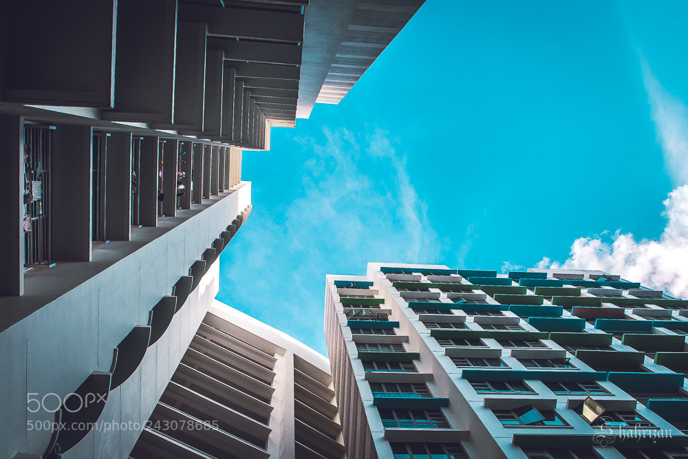 Nikon D500 sample photo. Perspective photography