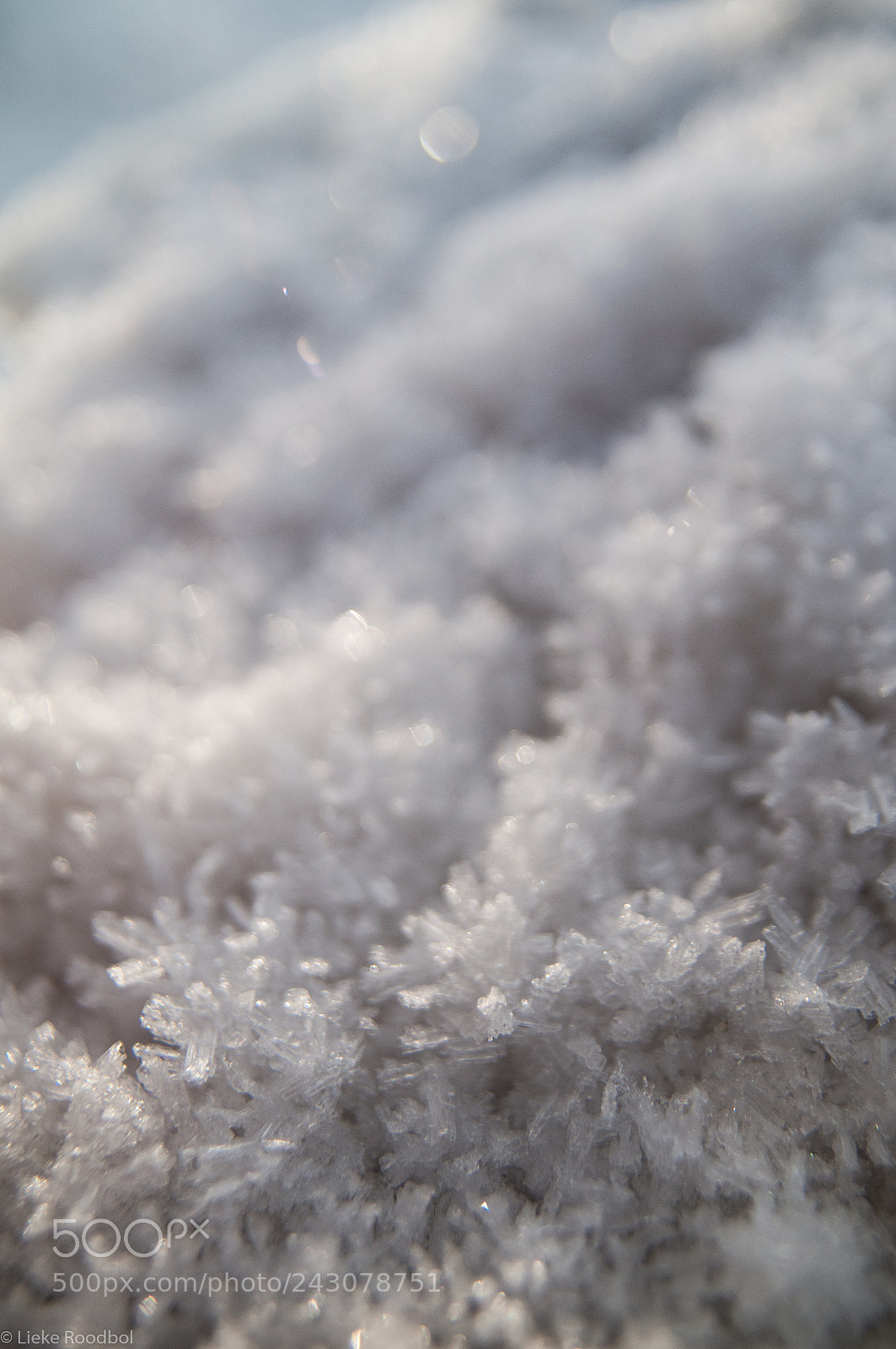 Nikon D300 sample photo. Ice on snow photography