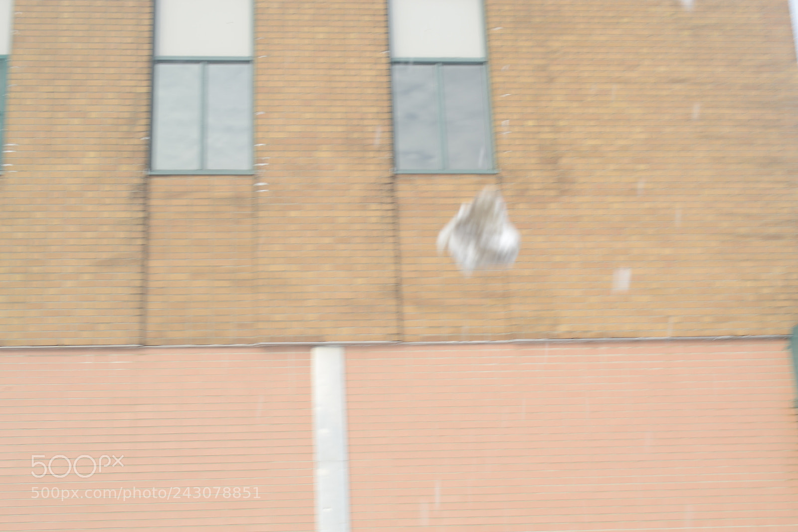 Nikon D3100 sample photo. The motion of time photography