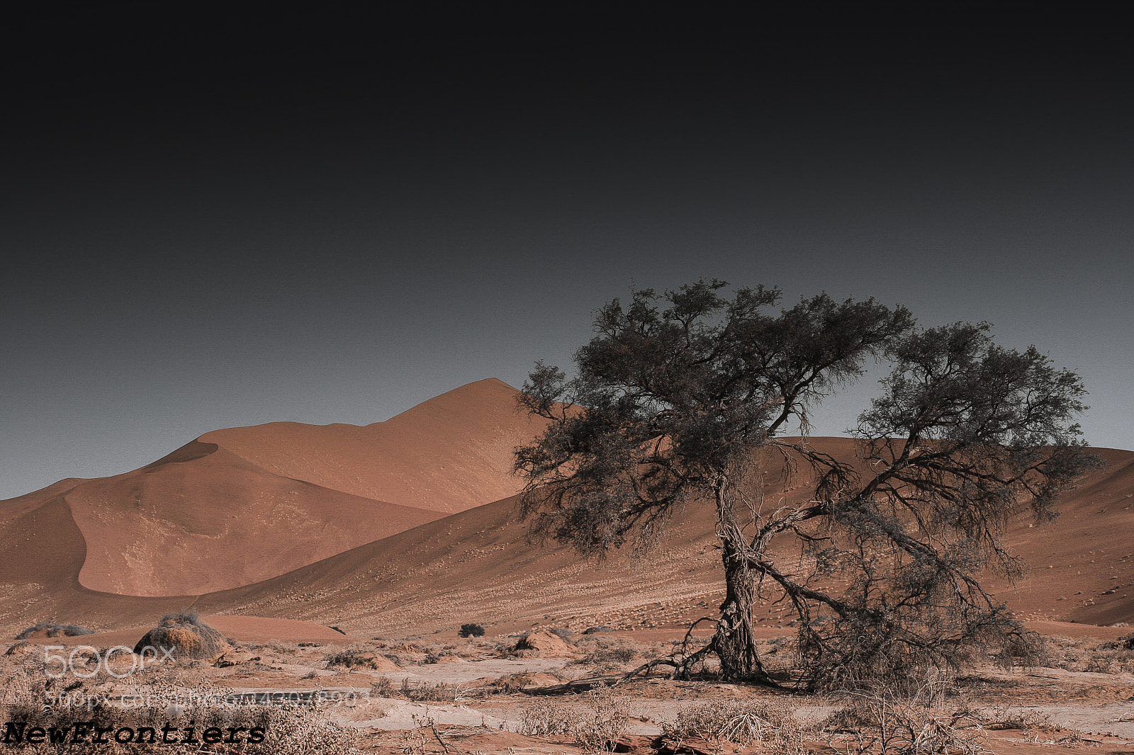 Canon EOS 400D (EOS Digital Rebel XTi / EOS Kiss Digital X) sample photo. Sanddunes of sossusvlei photography