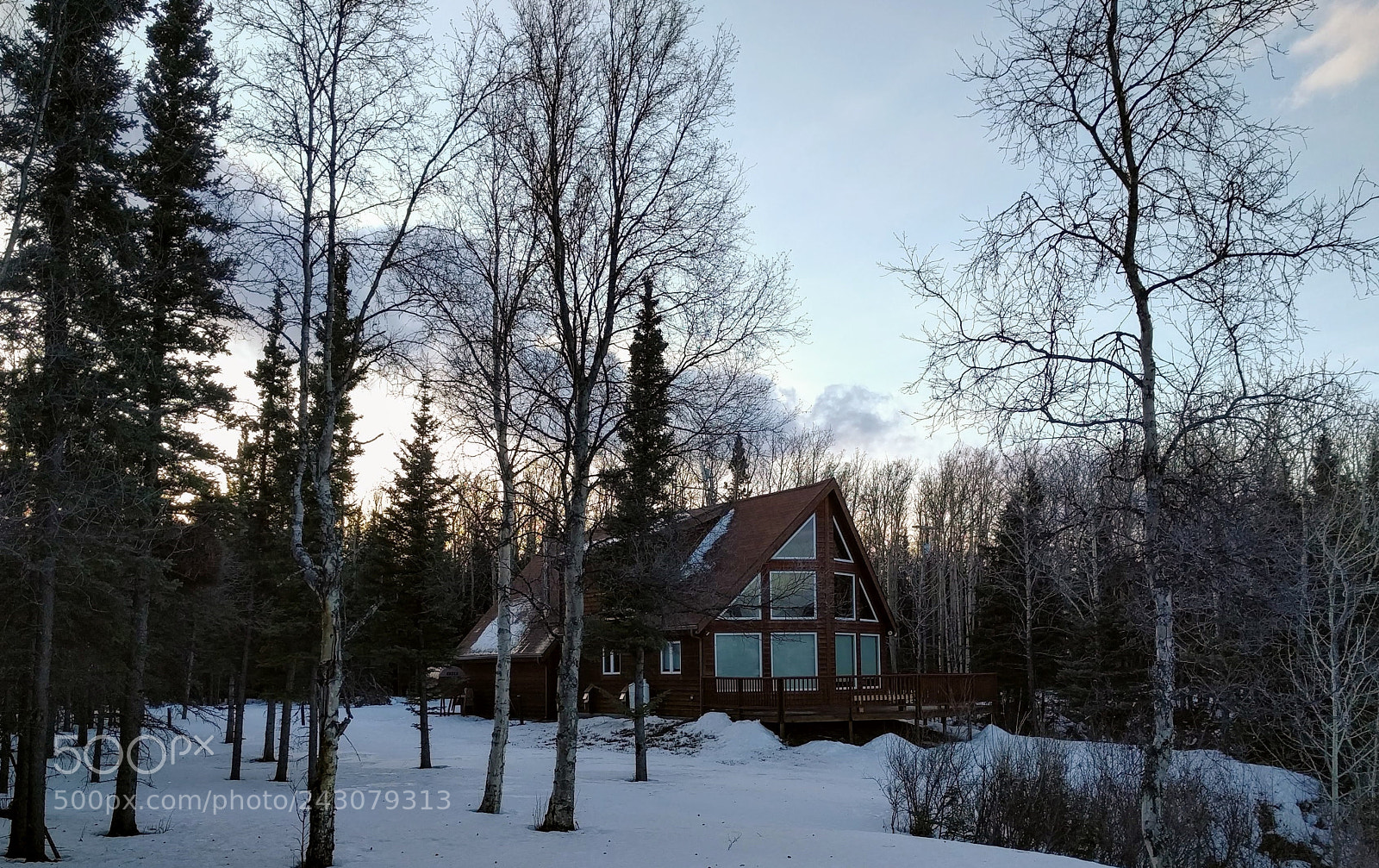 Google Nexus 6P sample photo. Cabin photography
