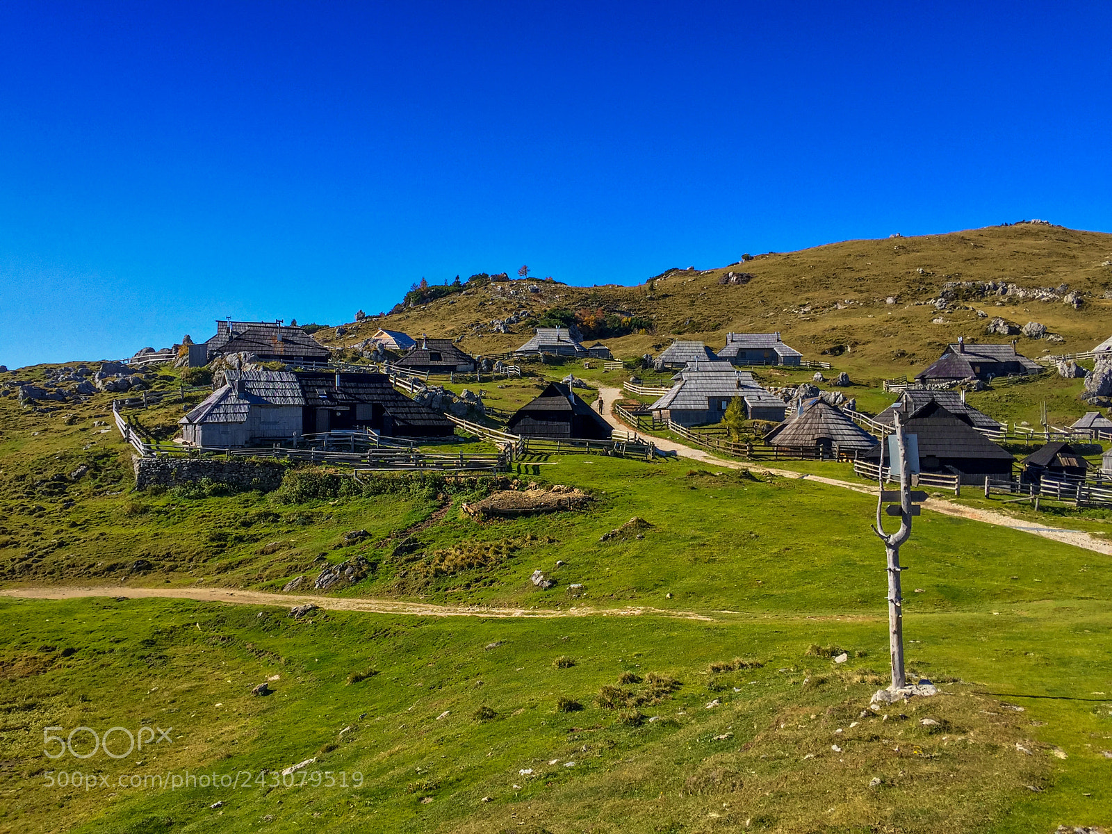 Apple iPhone 6 sample photo. Velika planina, what a photography