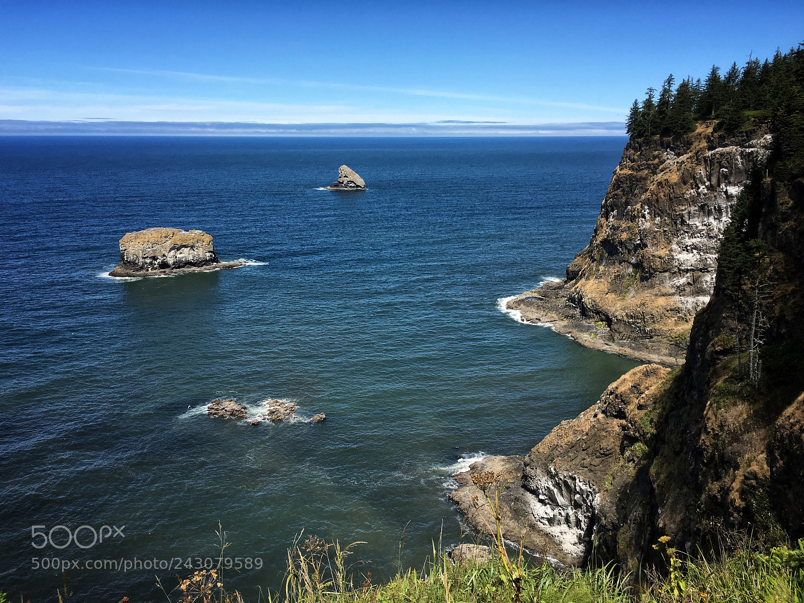 Apple iPhone 6s sample photo. Oregon photography
