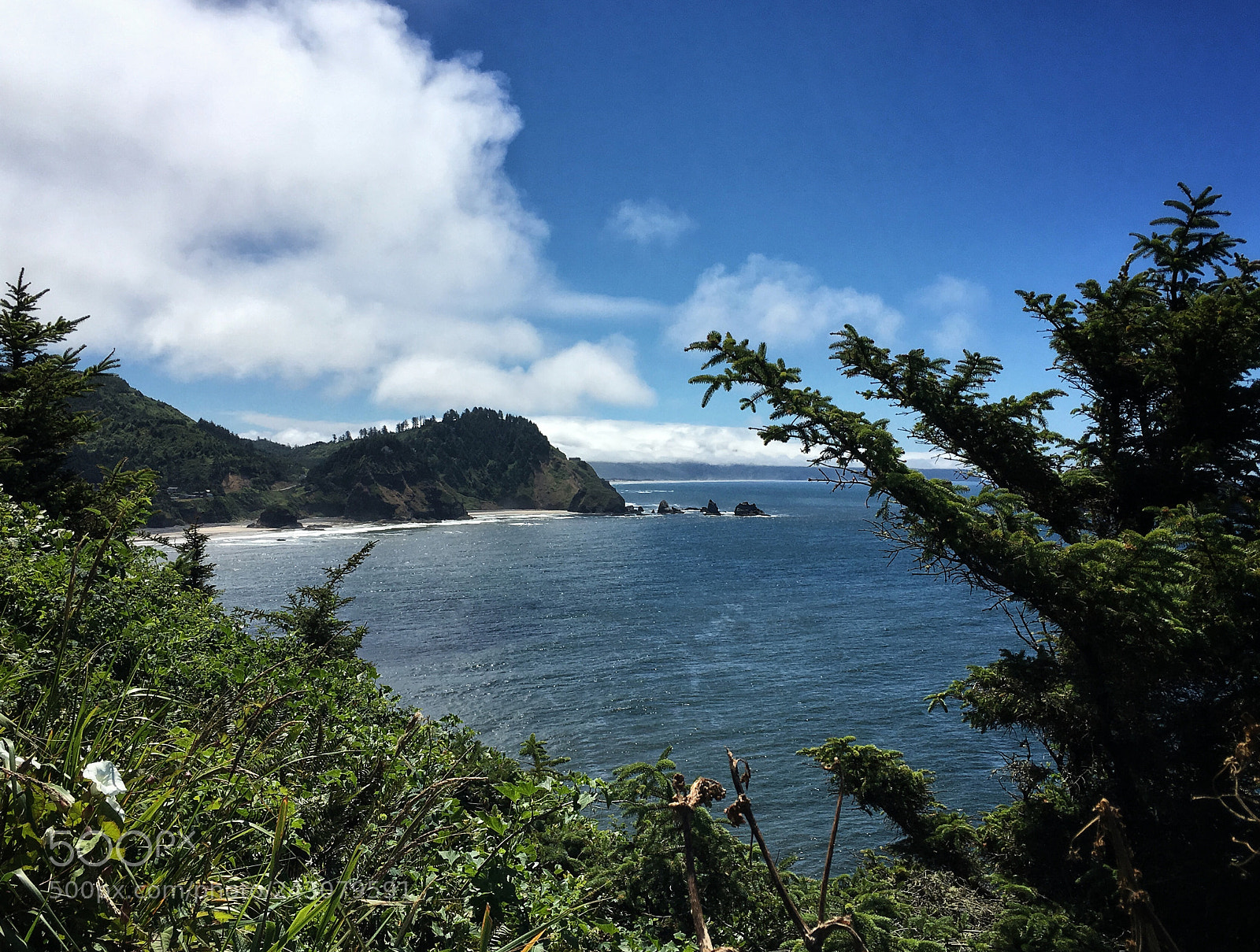 Apple iPhone 6s sample photo. Oregon photography