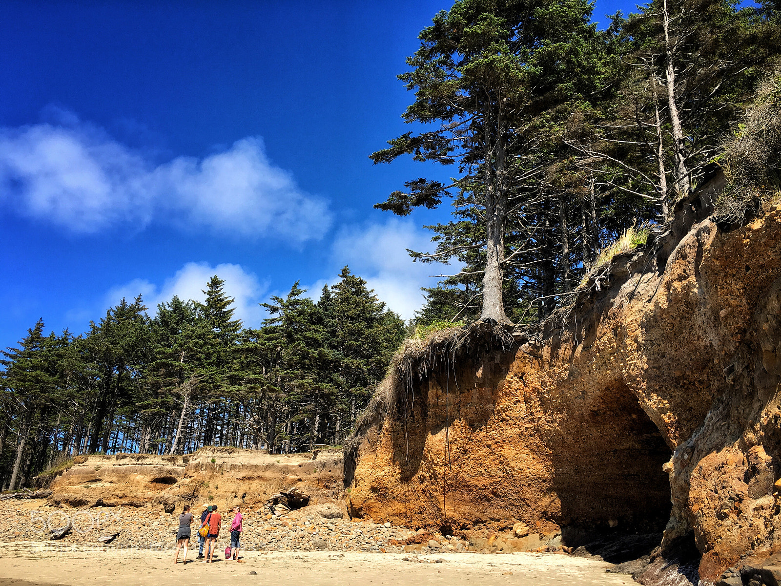 Apple iPhone 6s sample photo. Oregon photography