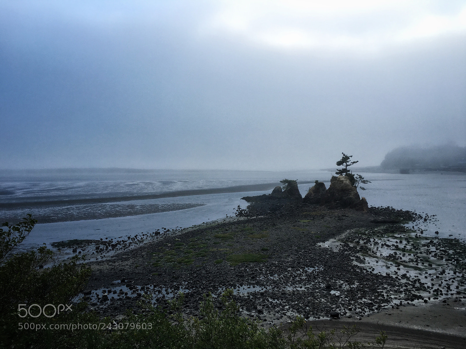 Apple iPhone 6s sample photo. Oregon photography