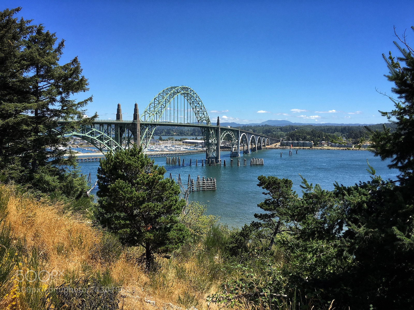 Apple iPhone 6s sample photo. Oregon photography