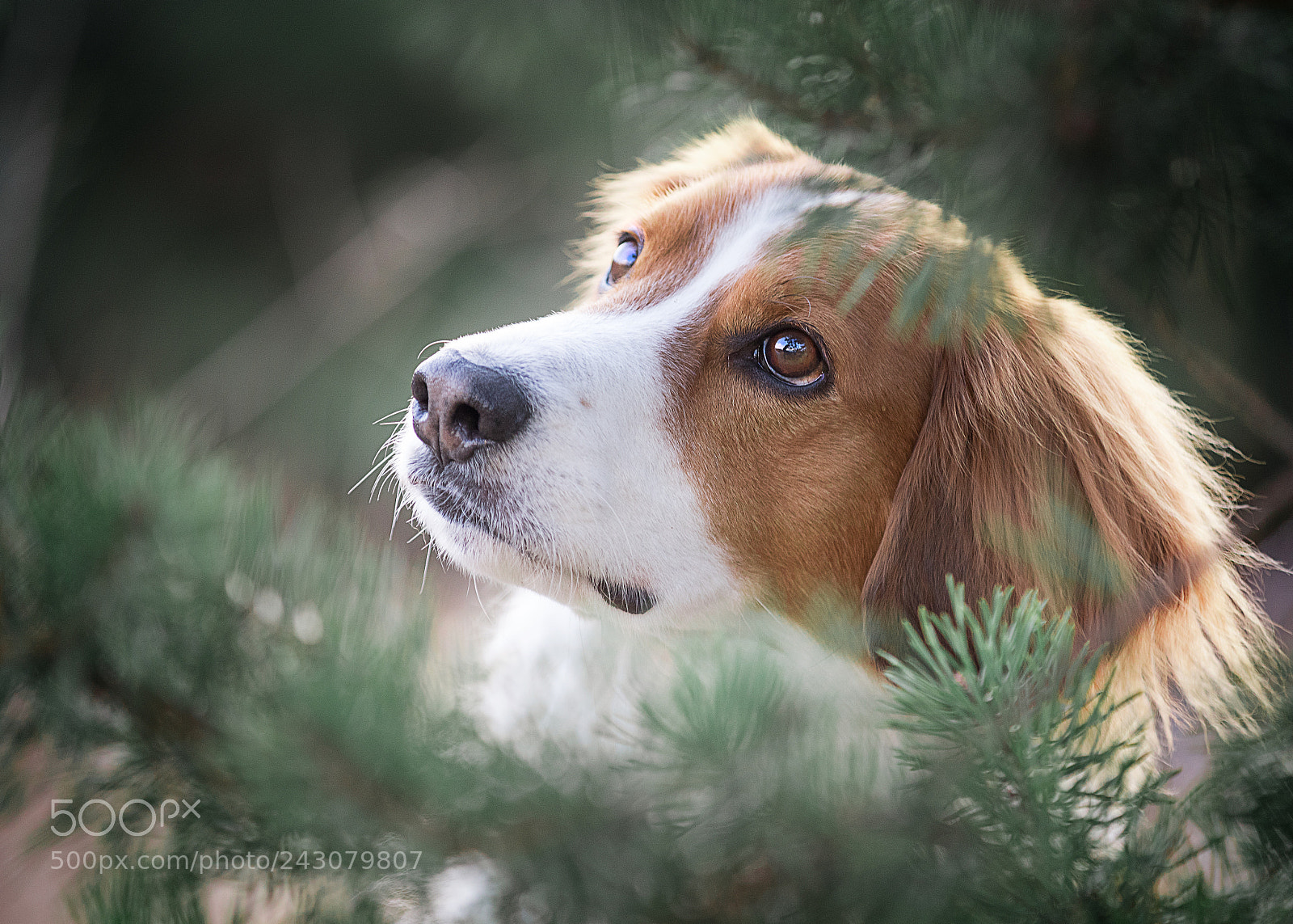 Canon EOS 7D Mark II sample photo. Jimmy photography